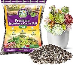 DUSPRO Succulents Soil Potting Mix – 7 in 1 Ingredients Well-Draining, Nutrient-Rich Cactus Potting Soil for Succulents and Cacti, Indoor & Outdoor Use, Ready to Use, Supports Healthy Root Growth, 1QT