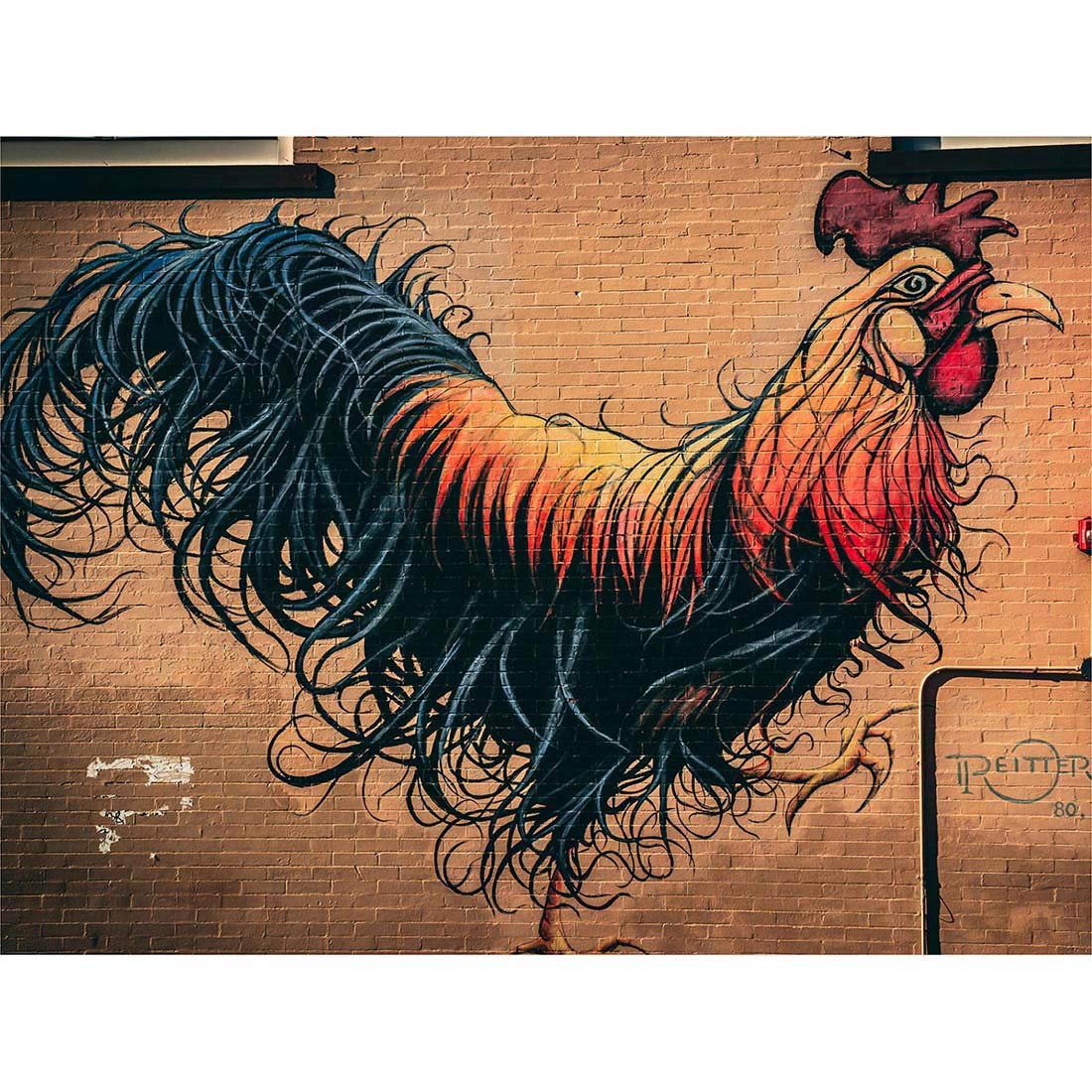 Moran Graffiti Chicken Rooster Street Art Print Poster Wall Decor 12X16 Inch