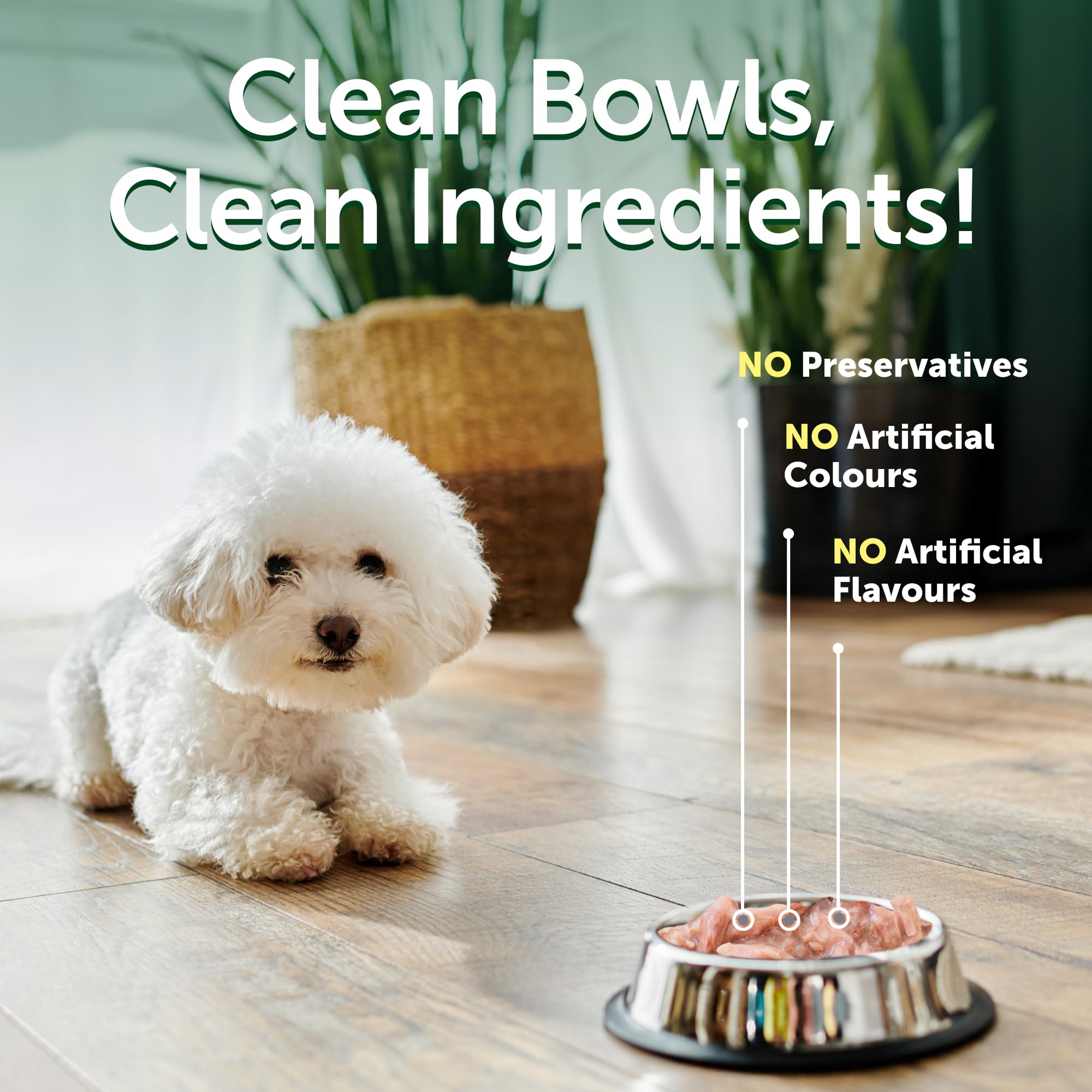 Nature's Protection Superior Care Nourriture humide pour chiens adultes, sacs de thon à haute teneur en protéines pour digestion sensible, peau et pelage sains de toutes races, chiens à poils blancs