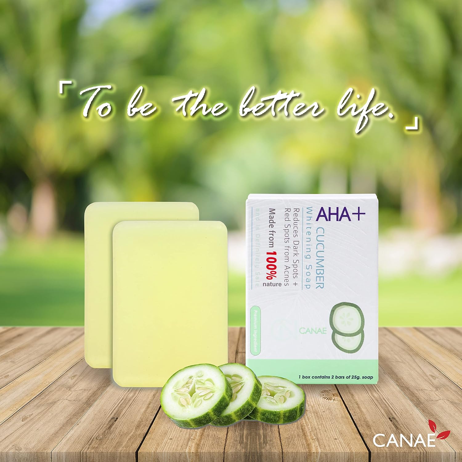 AHA Cucumber Facial Rejuvenation Cleansing Soap Bar, Pore Cleansing and Moisturizing for Sensitive Skin, Organic and Natural, Designed for Renewal, by CANAE (2 bars of 25g soap) : Beauty & Personal Care