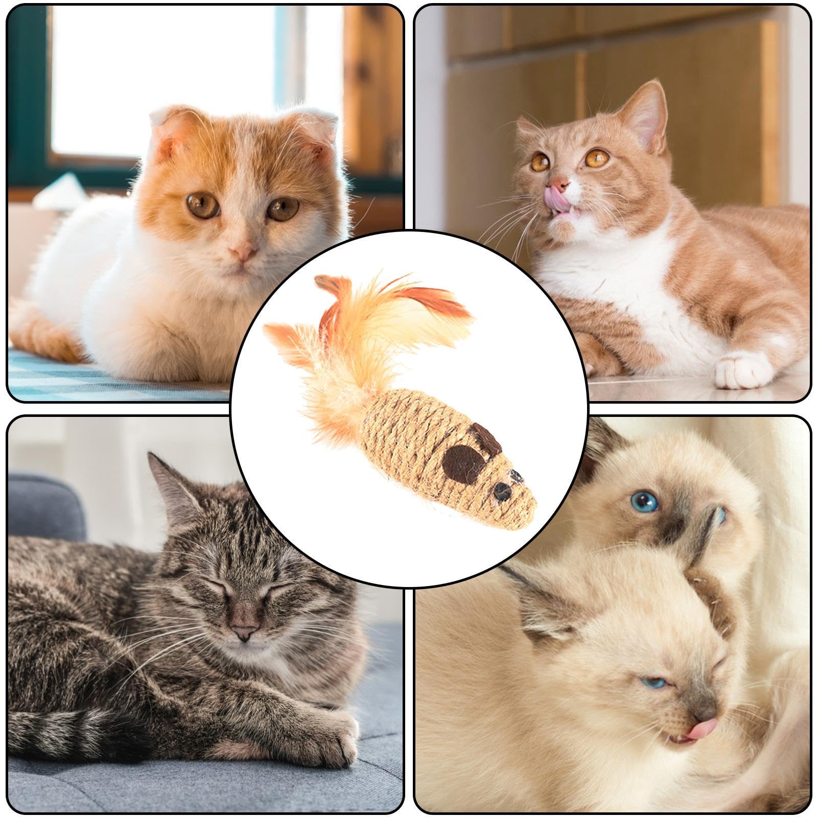 Katten-speelgoed vogel verenstaart 13cm - Gebr. de Boon
