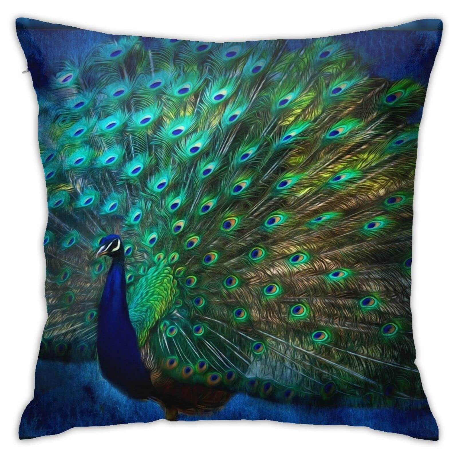 Akame Being Yourself Peacock Feather Art Throw Pillow Cover Cozy Square Throw Pillowcases Home Decoration for Bed Couch Sofa Living Room Cushion Cover 18 in X18 in , One Size