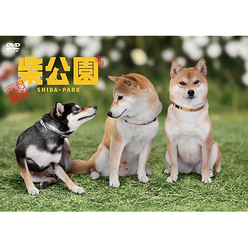 柴公園(ドラマ)