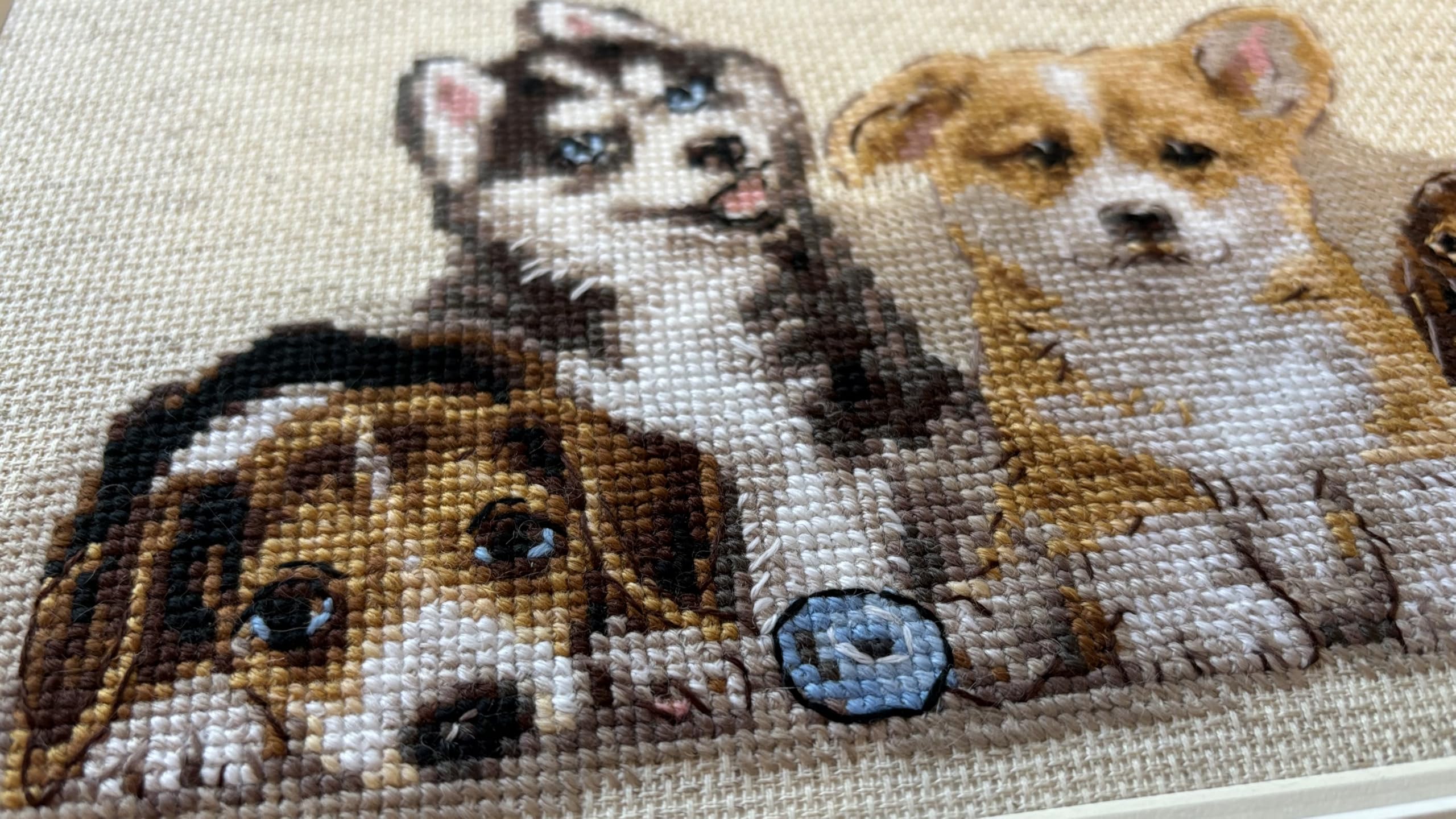 ペット刺繍 Amazon | RIOLIS - 子犬 2221、犬用クロスステッチキット 15¾