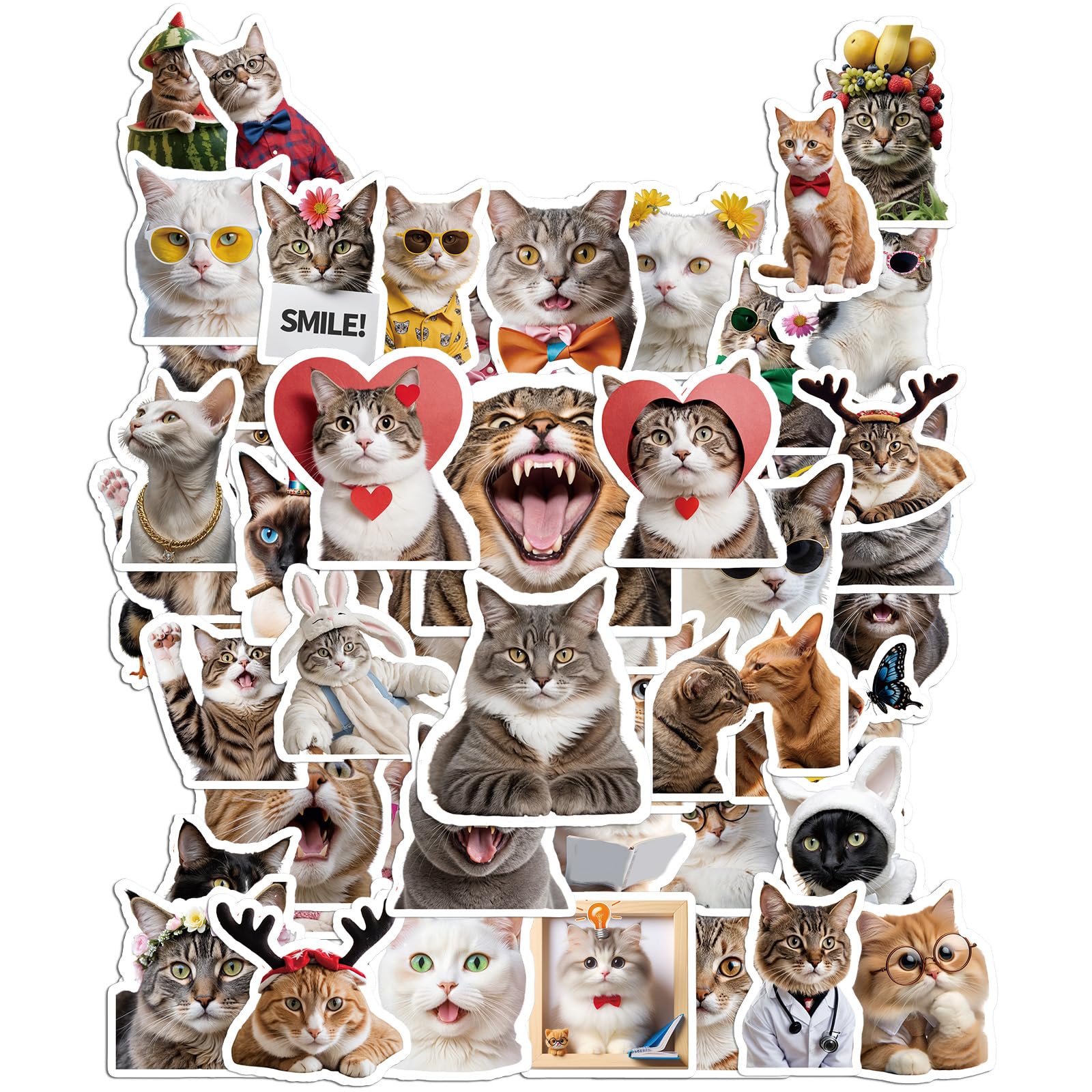 50Pcs Funny Cat Stickers for Water Bottles Cute Vinyl Waterproof Stickers Memes Cute Sticker Pack Silly Cat Sticker for Adults Teacher Teens Cats