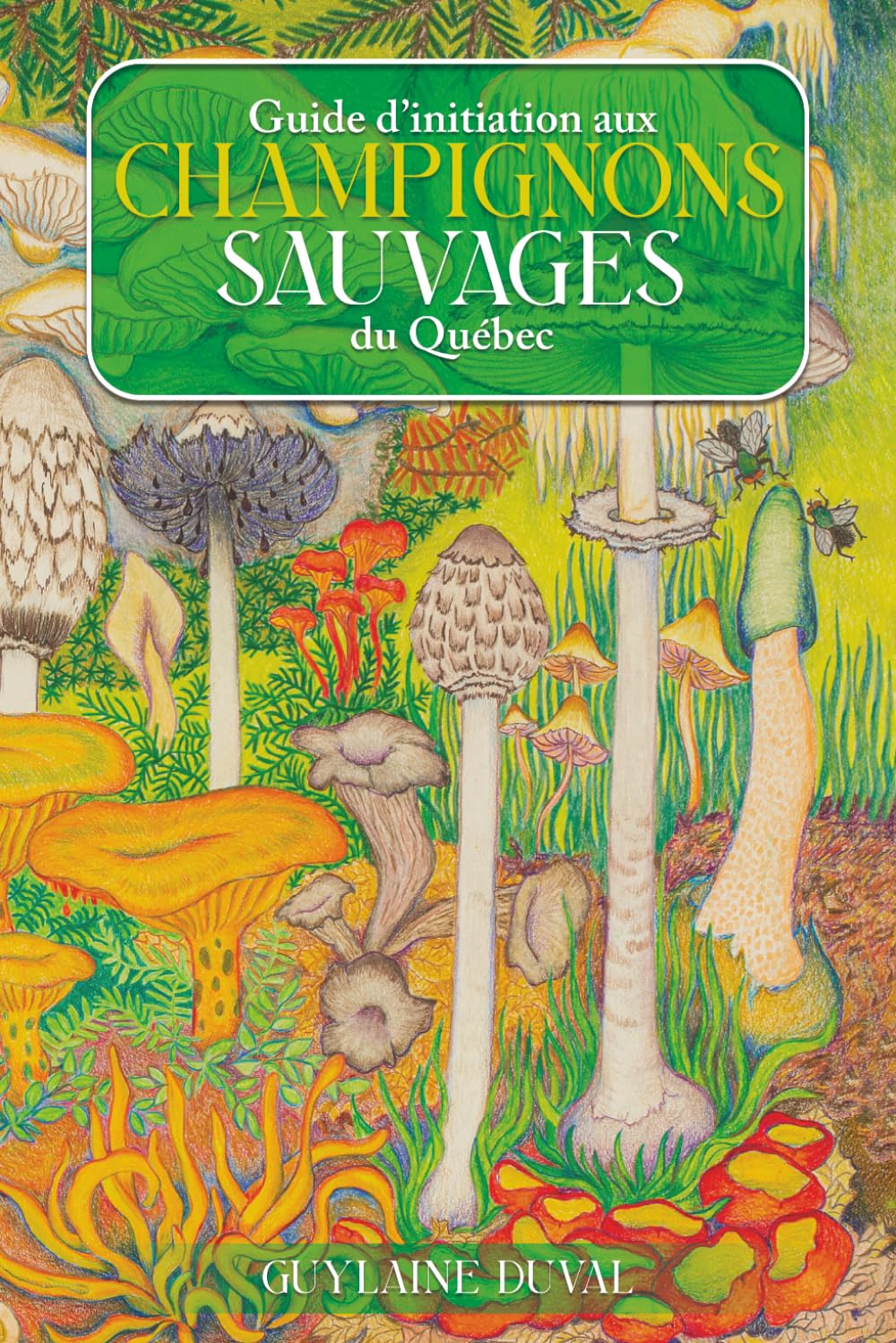 Guide d'initiation aux champignons sauvages du Québec
