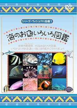 (未使用･未開封品)　南海の魚ワールド 海からのメッセージ 映像魚類図鑑 [DVD] tu1jdyt 2025年最新】南海の魚ワールド 海からのメッセージ 映像魚類図鑑