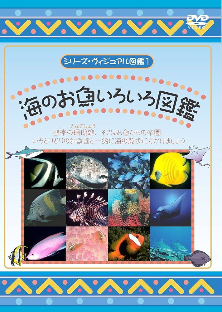 海水魚鑑賞 備品いろいろ(全品購入の方募集) 海水魚鑑賞備品いろいろ 海水魚鑑賞 備品いろいろ(全品購入の方募集) 海水魚鑑賞備品いろいろ