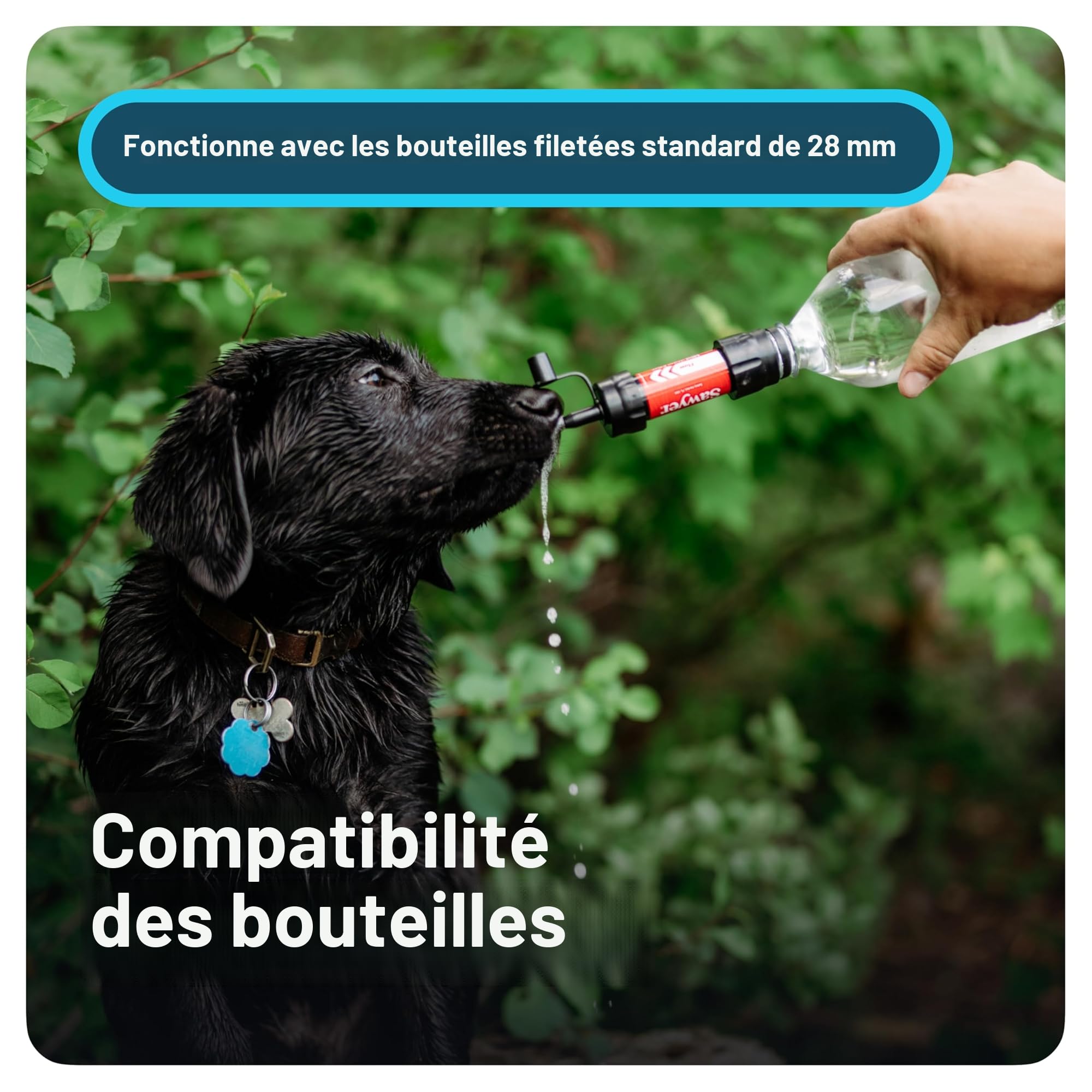 Filtre à Eau Sawyer Mini PointONE Extérieur - Élimine Microplastiques et Bactéries (Bleu)