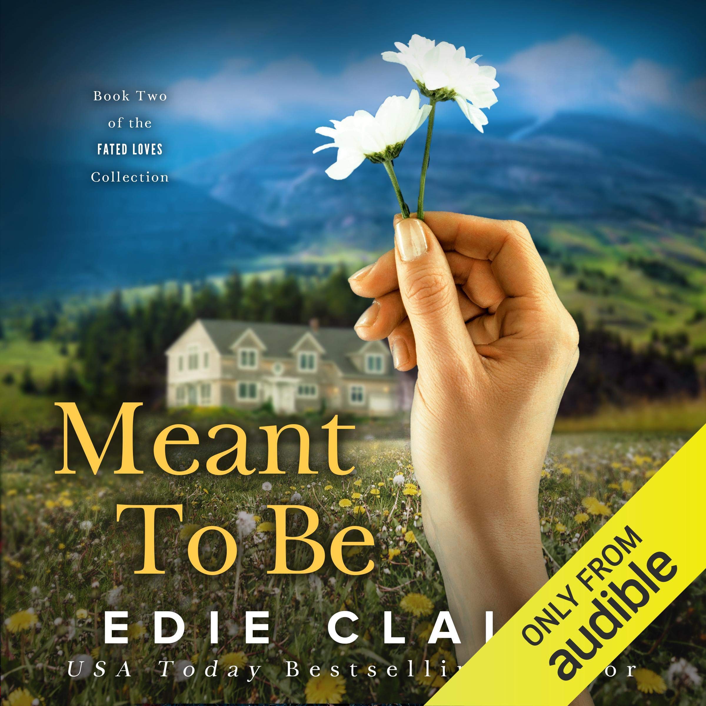 Cover art for Meant to Be