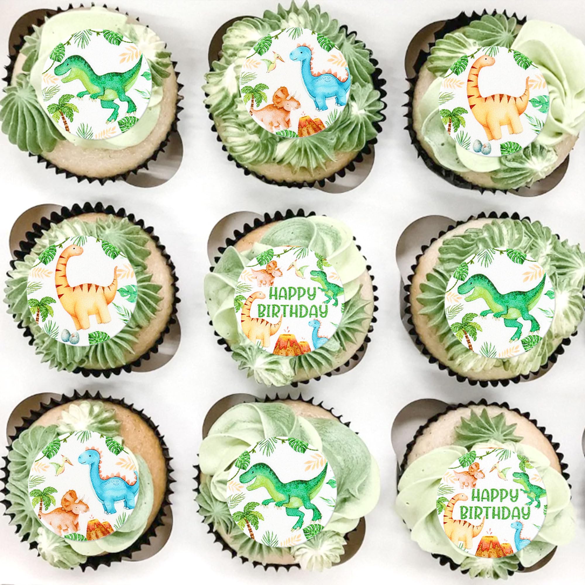 Cyodoos 40 Pcs Edible dinosaur Cupcake Toppers Wafer Paper Dinosaur Baby Dinosaur Cupcake Drink Topper Children's Birthday Party Cake Decorative
