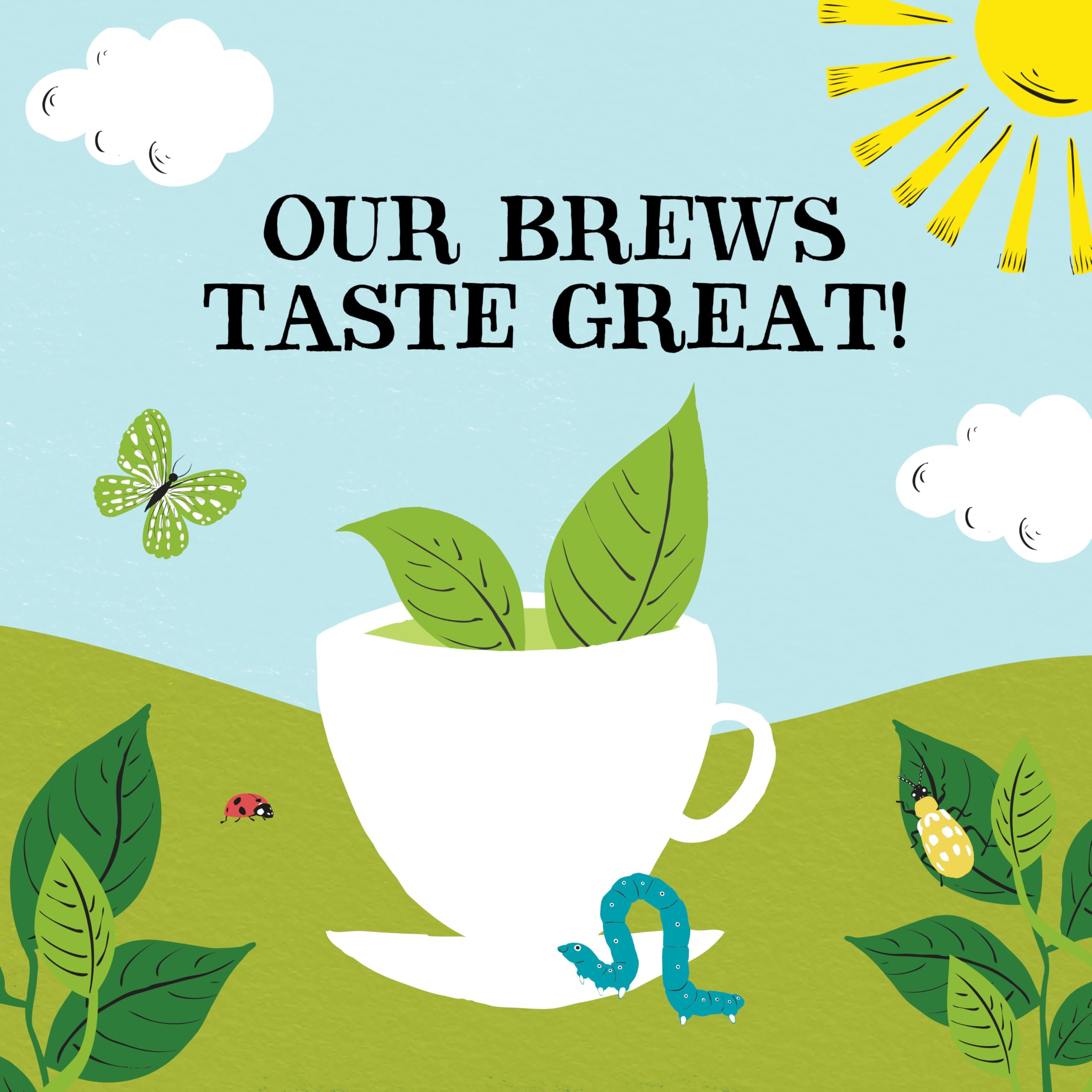 Clipper Fairtrade Organic Green Tea 250 Envelopes