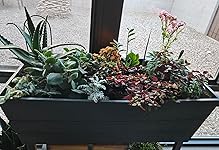 Review Image by Mags