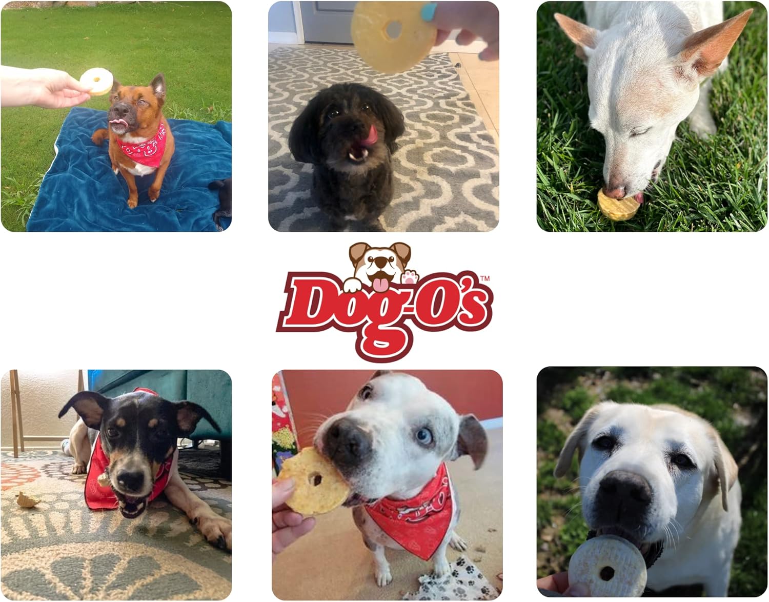 Dog-O’s Cheesy Chompers, All Natural, Made in the USA, Grain Free, Real Cheese Treats for Small Dogs, 16 oz Bulk Pack of 16 to 20 Crunchy Treats