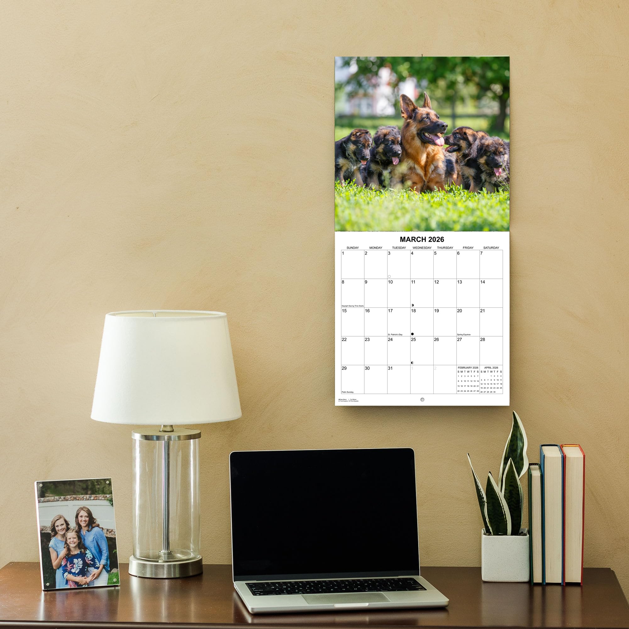 2025 German Shepherds Monthly Wall Calendar - Image 7