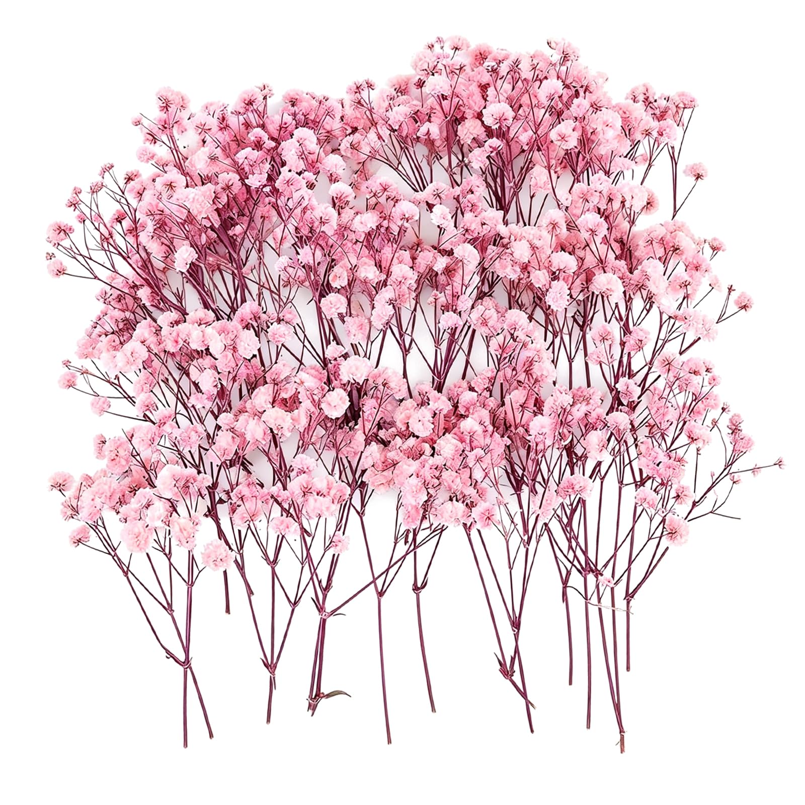 Dried Gypsophila Flowers, 100 Pink Dried Baby Breath Flowers, Natural Dried Flowers for Resin Art, Wedding Decor, DIY Crafts, Home Vase Arrangements and Creative Gift Making, 6-8 cm Length Each