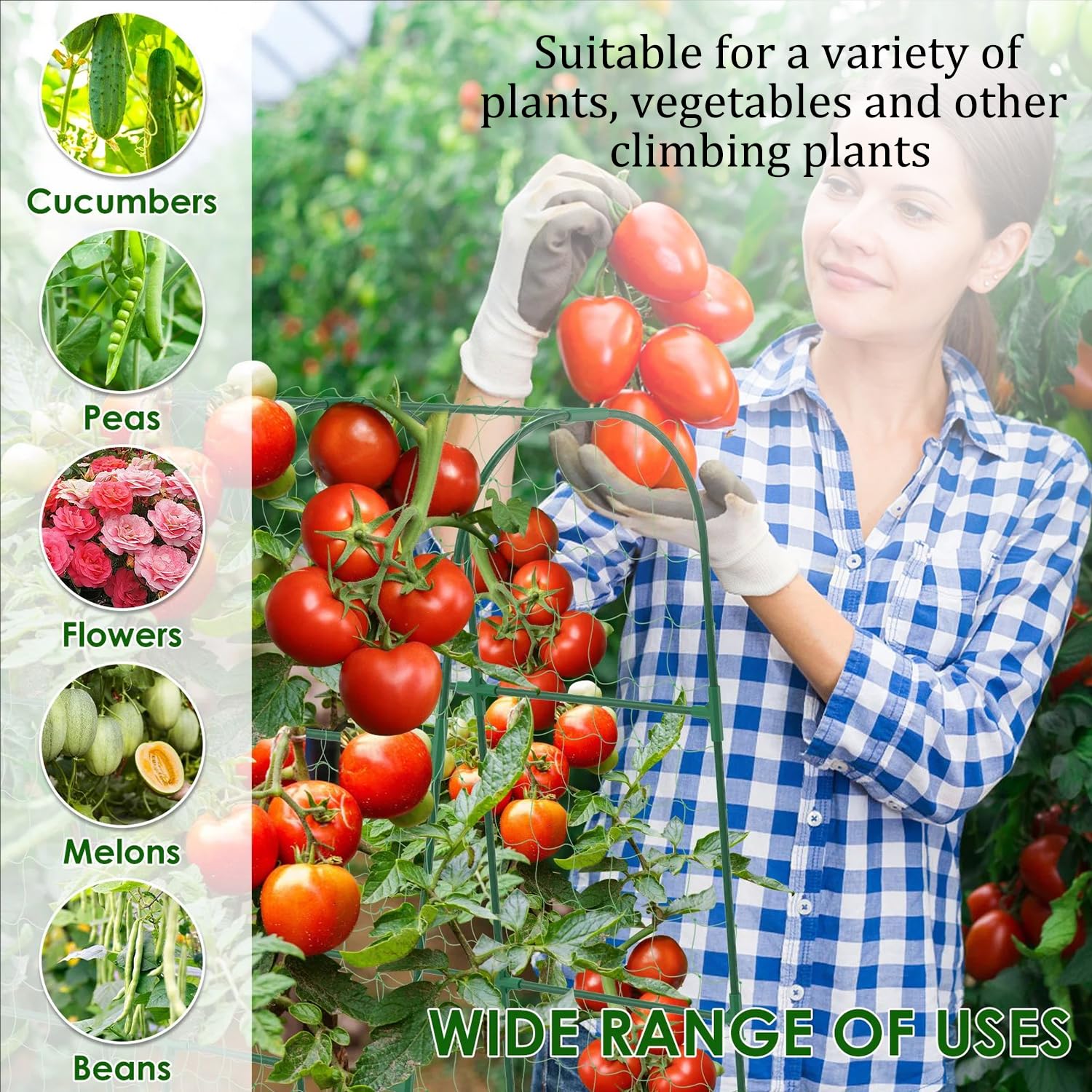 Enrejado De Tomates,Espaldera De Metal y Plástico En Forma De u,Tutor De Metal De 160cm De Alto con Pinzas De Jardín y Correa Retorcida para Plantas Trepadoras,para Verduras,Flores,Frutas