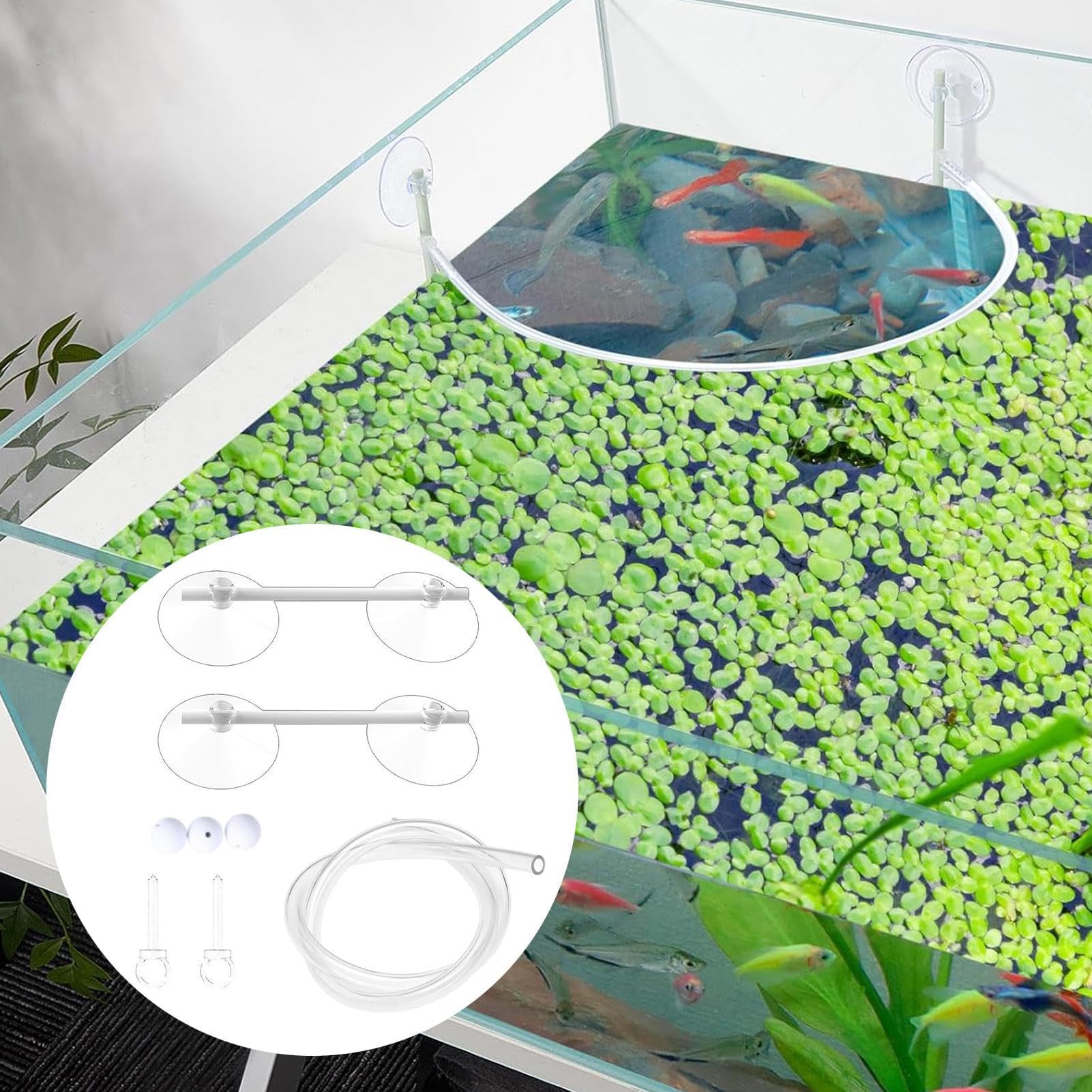 Generisch Clôture de plantes flottante pour aquarium, corral, protège les plantes flottantes, anneau d'alimentation pour aquarium, accessoires d'aquarium pour séparer les plantes flottantes