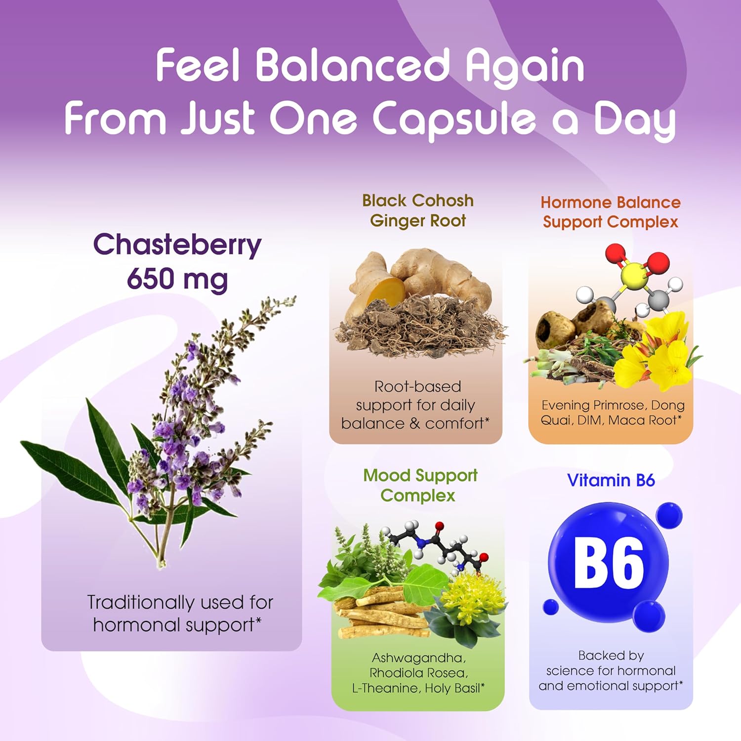 VITAL HERBAL Liposomal Chasteberry with Ginger & Black Cohosh – Supports Hormone Balance, Emotional Wellness & Menopause Health – 150 Capsules - Image 4