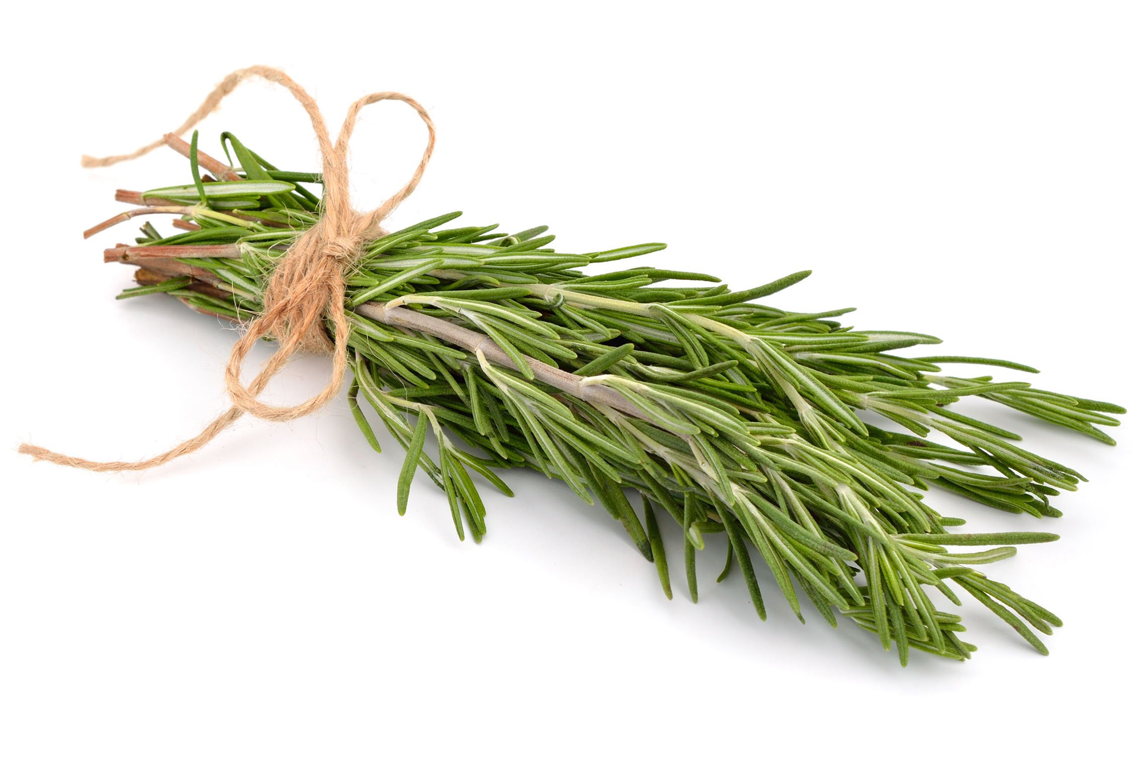 romero molido, hojas de romero reducidas de germen y molidas finamente de Grecia. 3 PL – Bolsa de 1500 g (4,5 kg).
