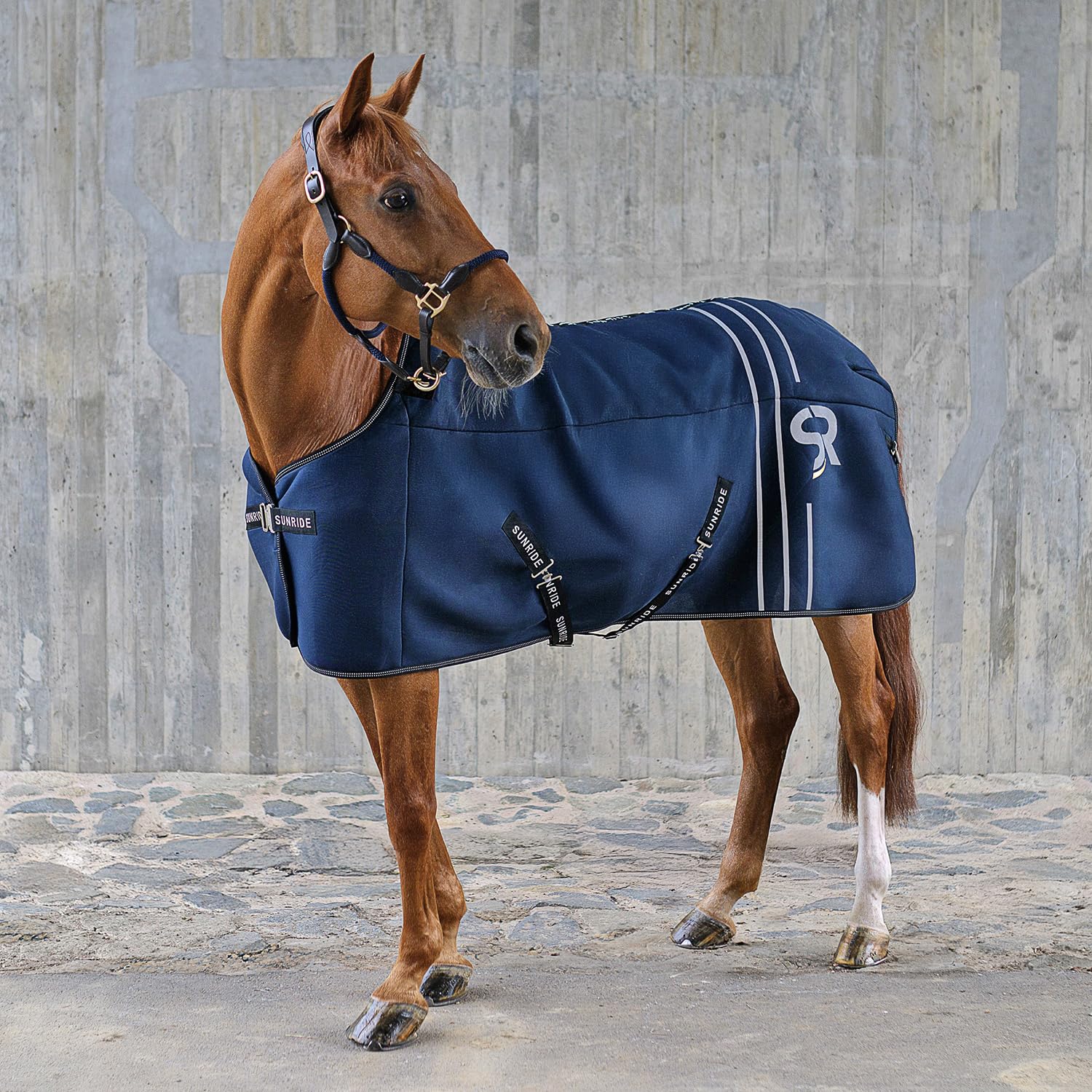 SUNRIDE Stalldecke 50g für Pferde - mit Fleece - geeignet als Unterdecke - extrem atmungsaktiv - abnehmbare Bauchgurte (blau, 145 cm)