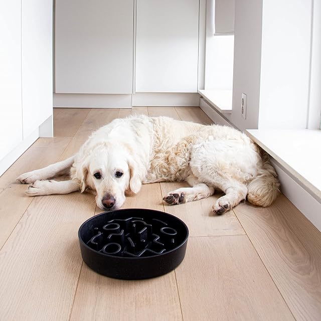 Foto 2 de 2 de District 70 Bamboo Dog Slow Feeder, 28 cm, Gris Oscuro