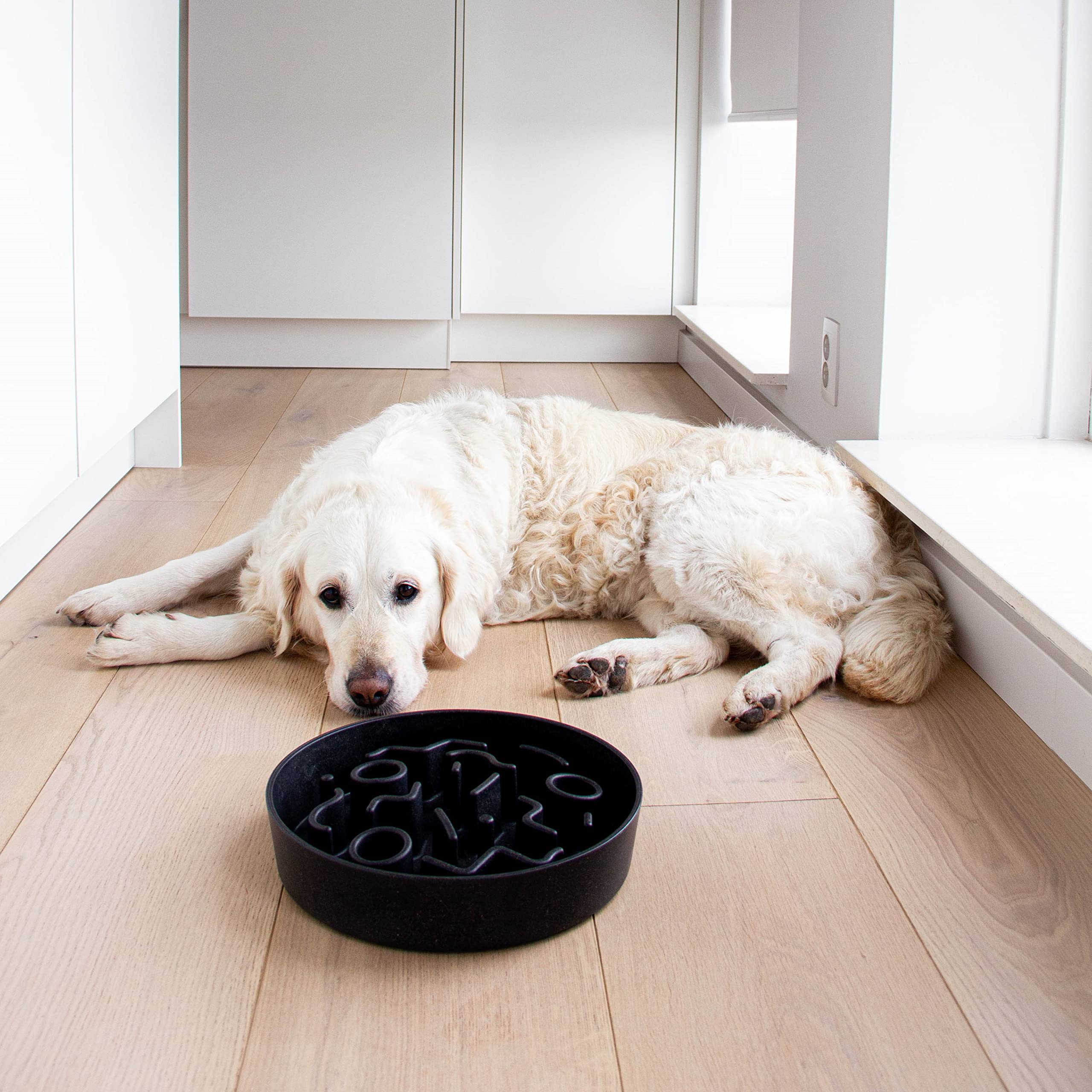 District 70 Bamboo Dog Slow Feeder, 28 cm, Gris Oscuro