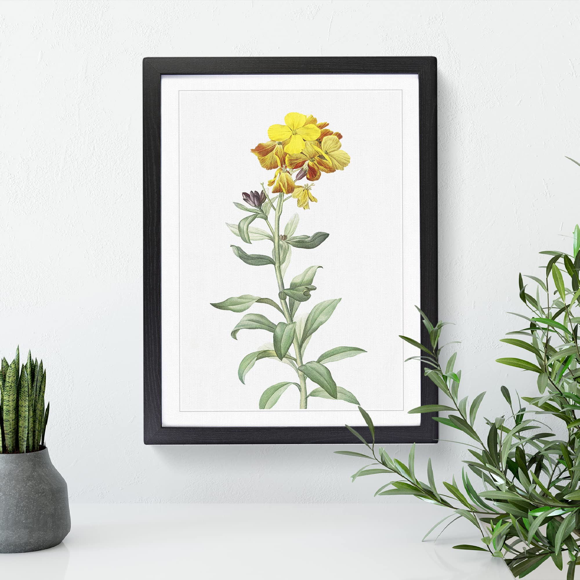 Wallflowers In Yellow By Pierre Joseph Redoute Vintage Framed Wall Art Print - Image 2