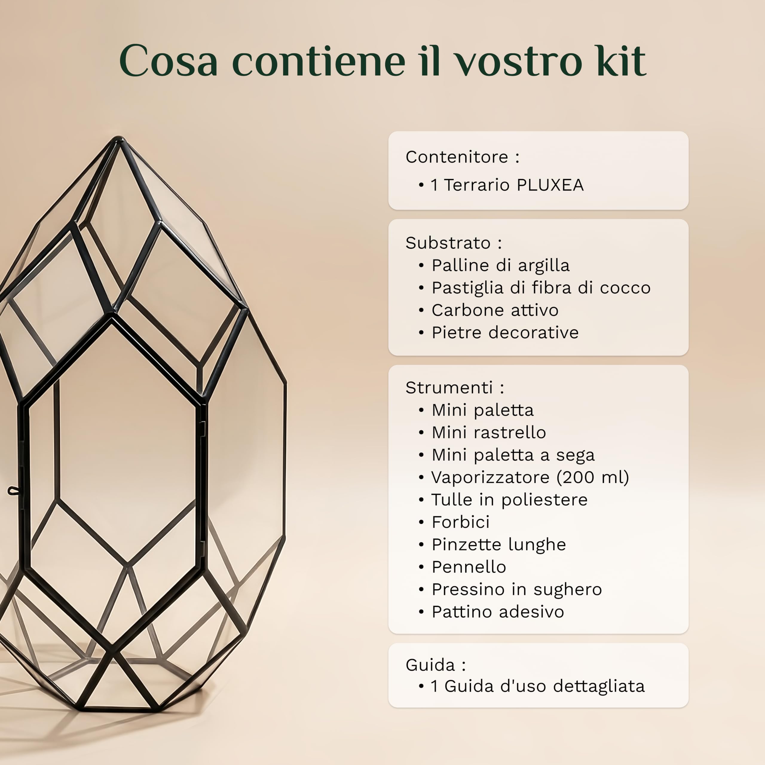 PLUXEA - Kit Terrario Completo Fai da Te in Vetro con Disegno Geometrico per Piante con Substrato e 10 Strumenti Inclusi - Ecosistema Autonomo, Scatola Creativa (Senza Piante)