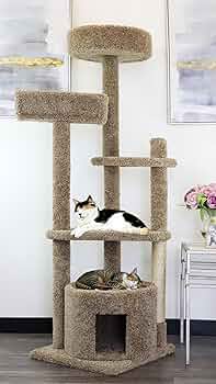 New Cat Condos 64