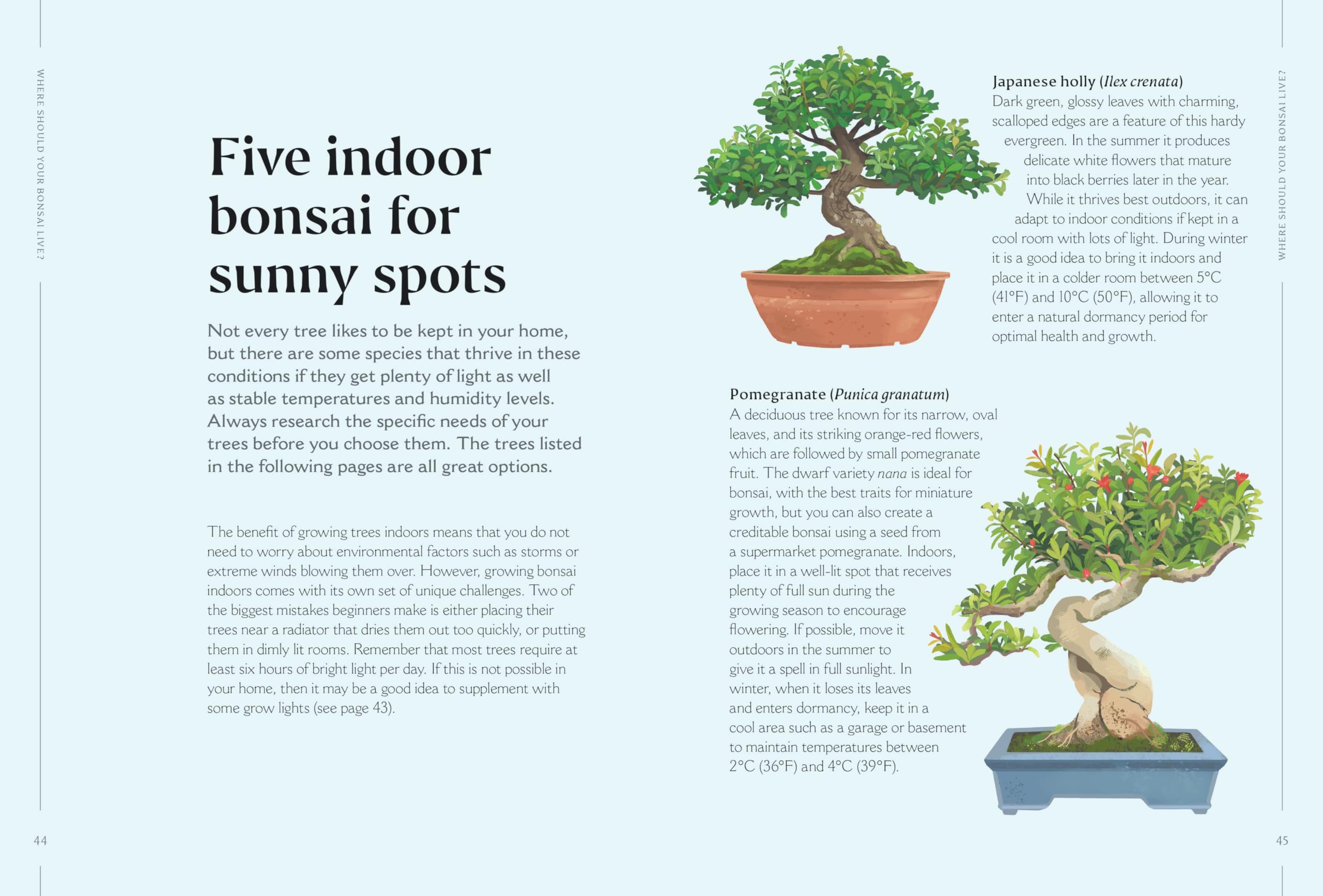 The Happy Bonsai Handbook: Essential advice and easy techniques for bonsai beginners and beyond