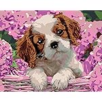 ZUTY 1200221 Painting by Number Dog Puppies and Hortensia 40 x 50 cm with Stretcher Frame (Already Stretched)