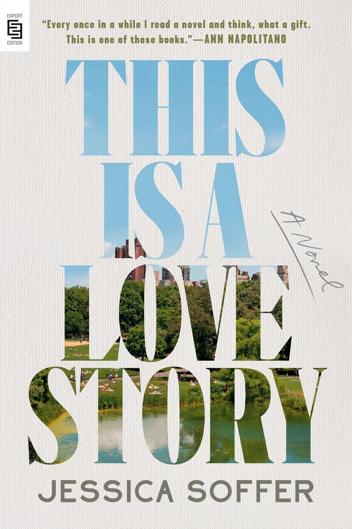 This Is a Love Story: A Novel (Paperback Book)