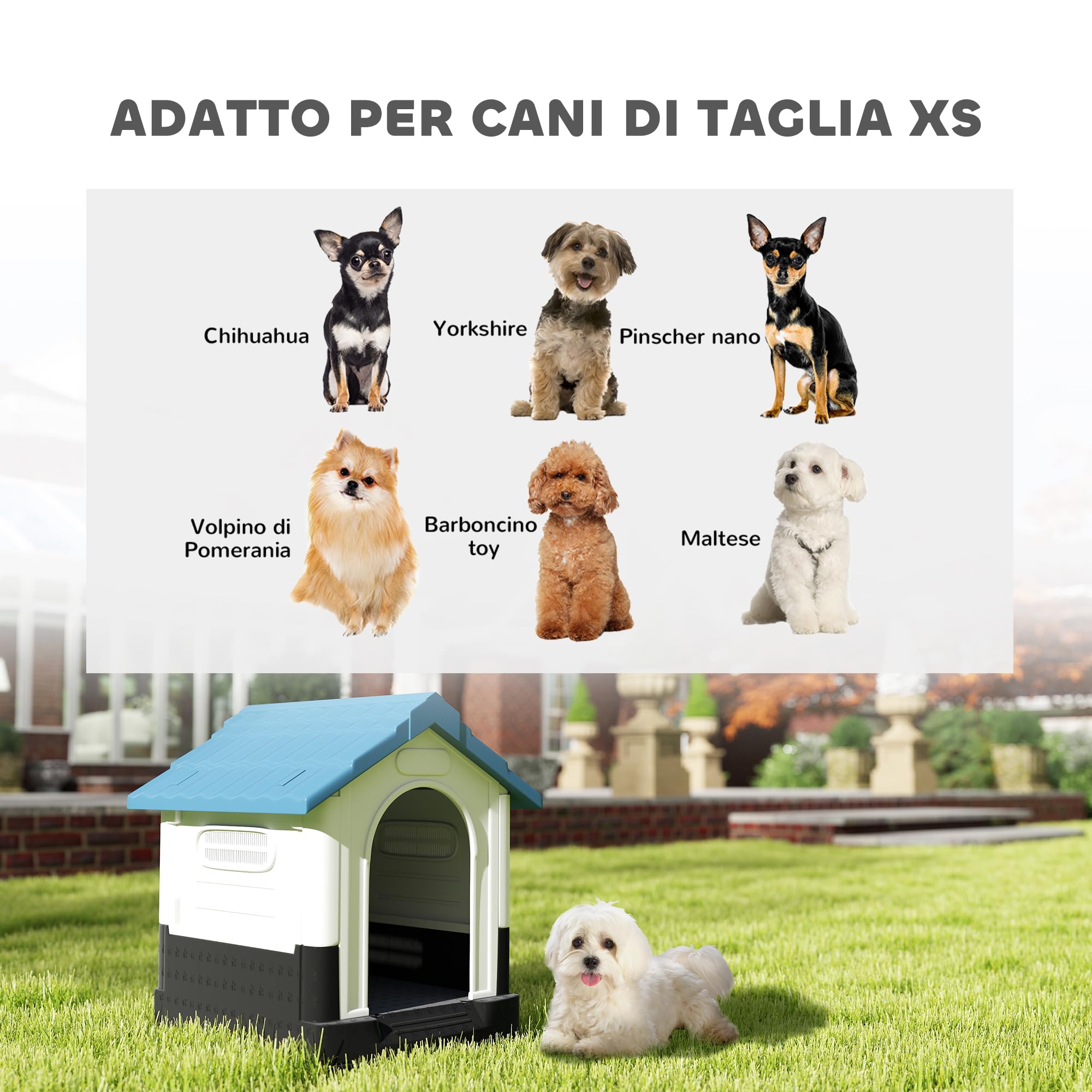 PawHut Cuccia per Cani da Esterno in Plastica, Casetta per Cani Piccoli e Mini con Finestre, Tetto Spiovente e Base Rialzata, 64.5x57x66 cm, Blu