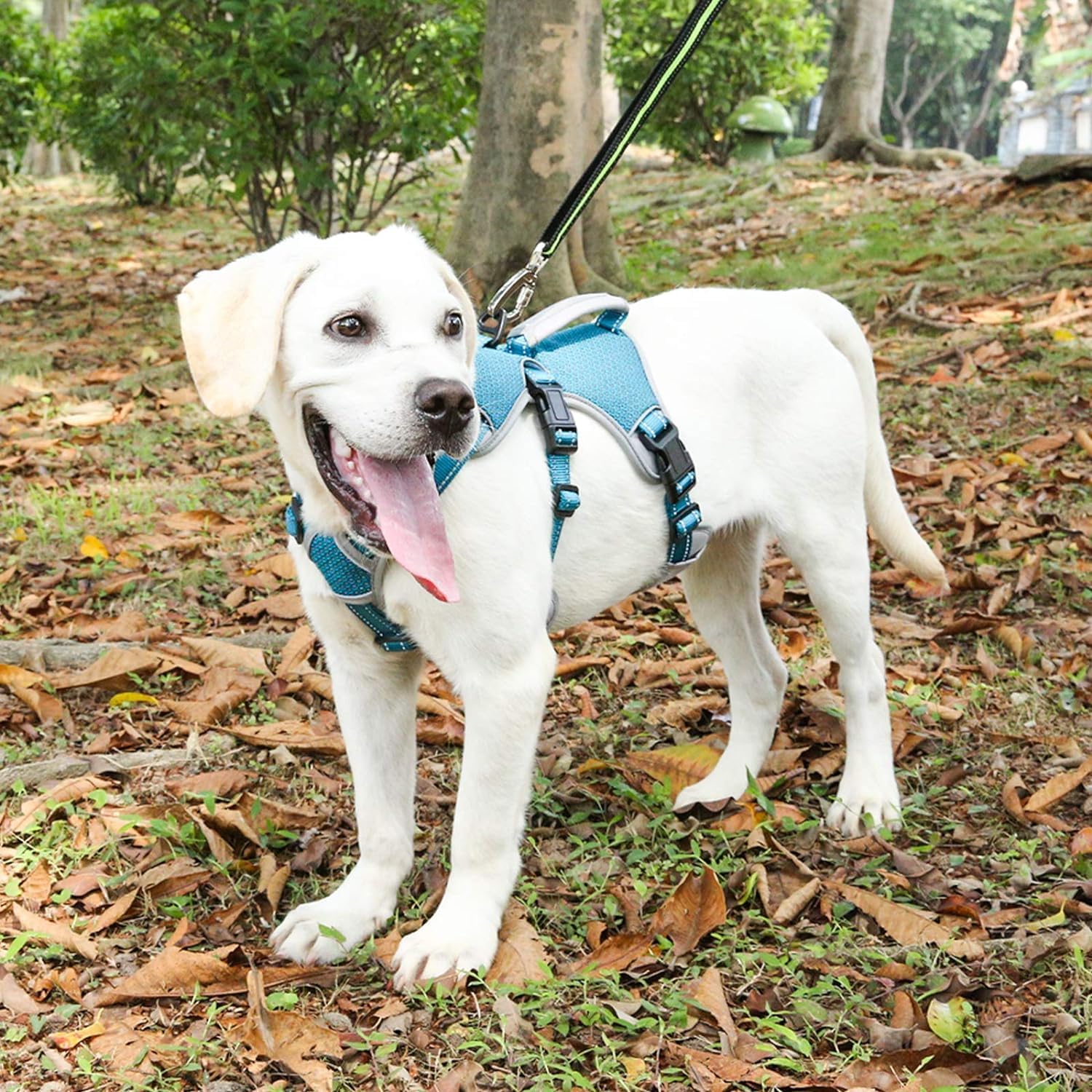 Mehrzweck-Hundegeschirr, ausbruchsicher, kein Ziehen, reflektierend, verstellbare Weste mit strapazierfähigem Griff, Hundegeschirr für große/aktive Hunde (Blau, M)