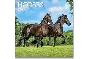Horses Mini Wall Calendar 2024, 7" x 7"