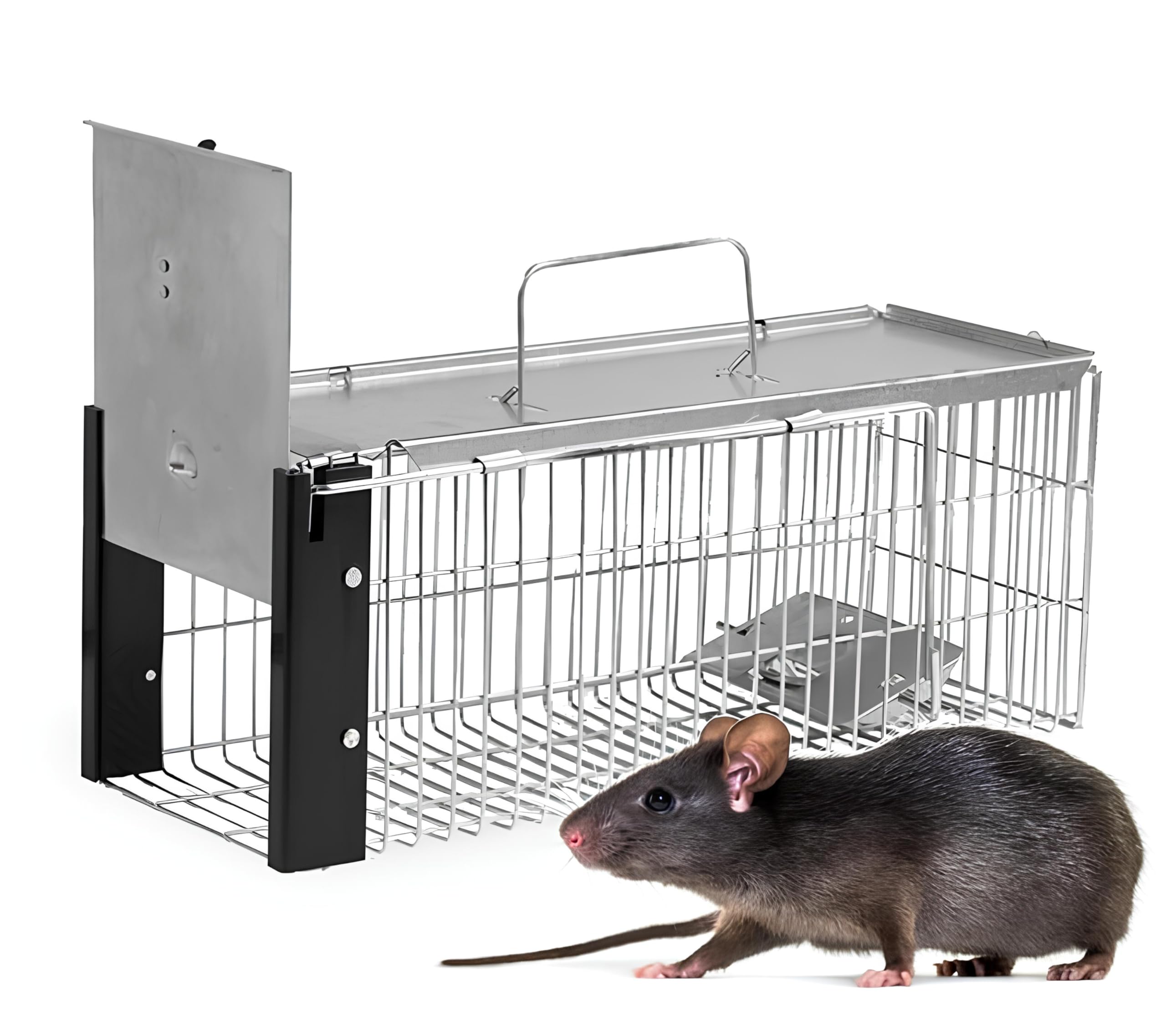 Brand Trampa para Ratas - Alambre galvanizado, Reutilizable y Segura para Interiores y Exteriores - Solución eficaz para Control de plagas de roedores - 1 Unidad