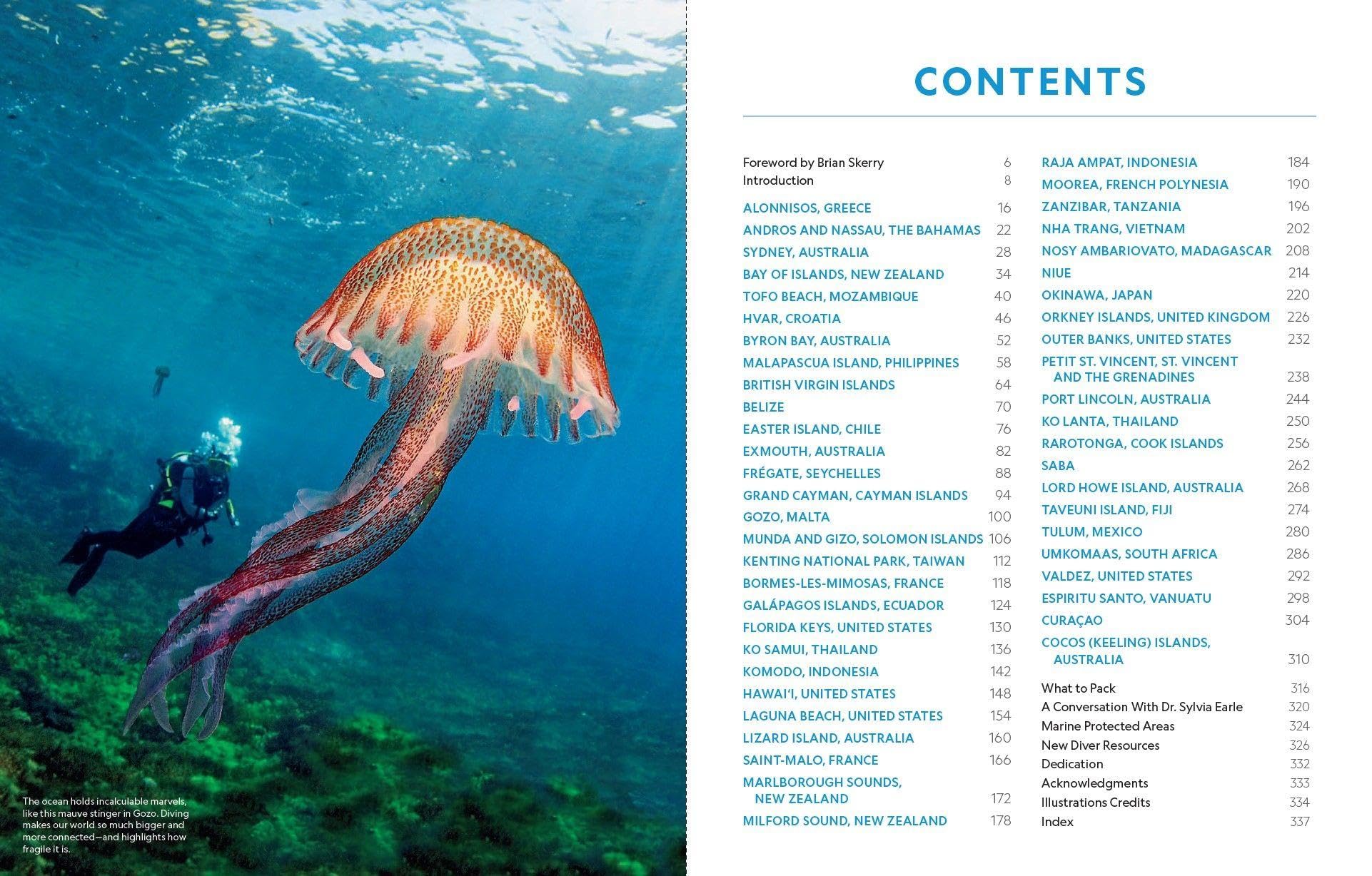 Der ultimative World Diver's Guide: 50 außergewöhnliche Ziele unter und über Wasser