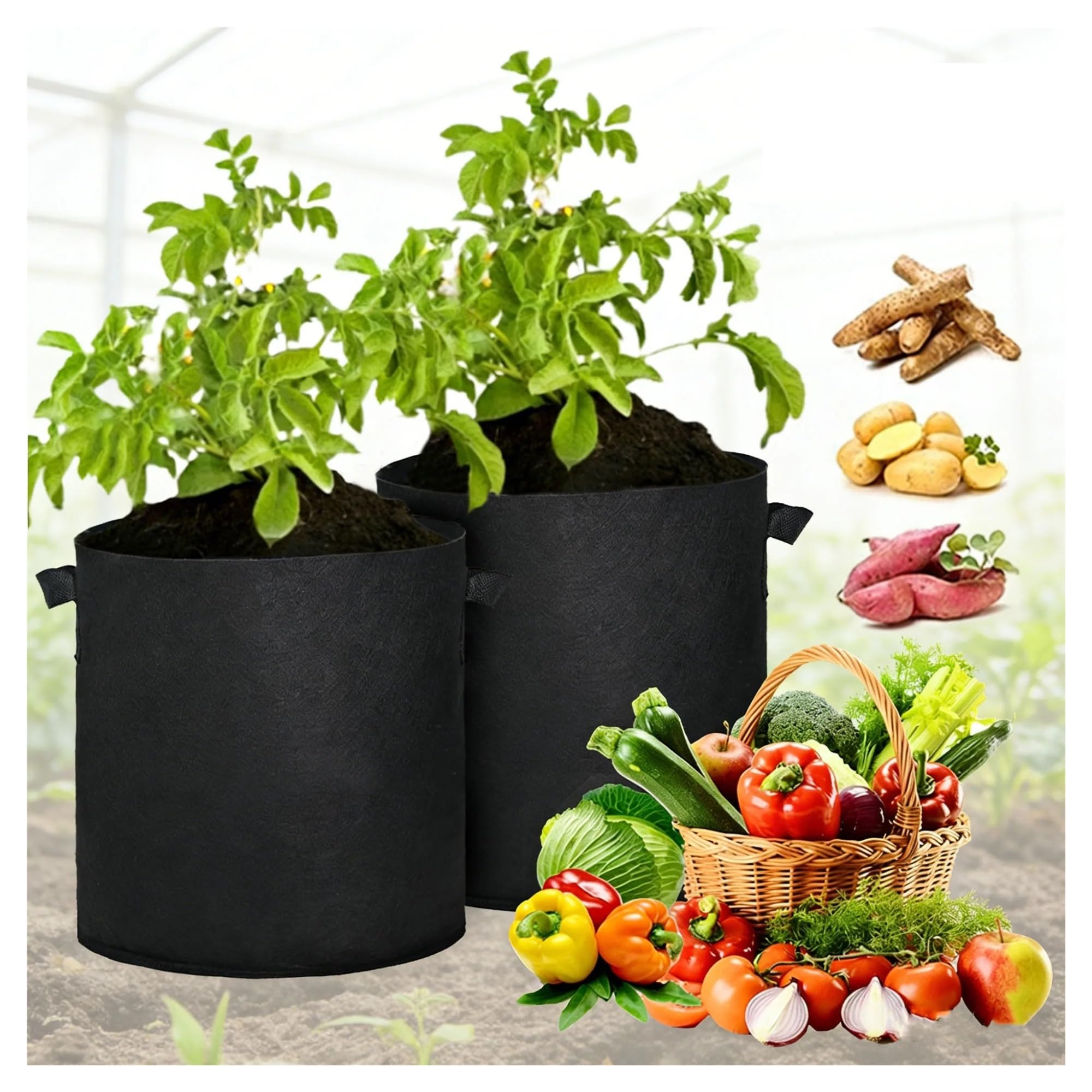 HWJFDC Potato Growing Bags 5pcs Felt Plant Grow Bags Non-Woven Fabric Planting Supplies Nursery Containers Seedling Garden Planter Gardening Tool(Color5)