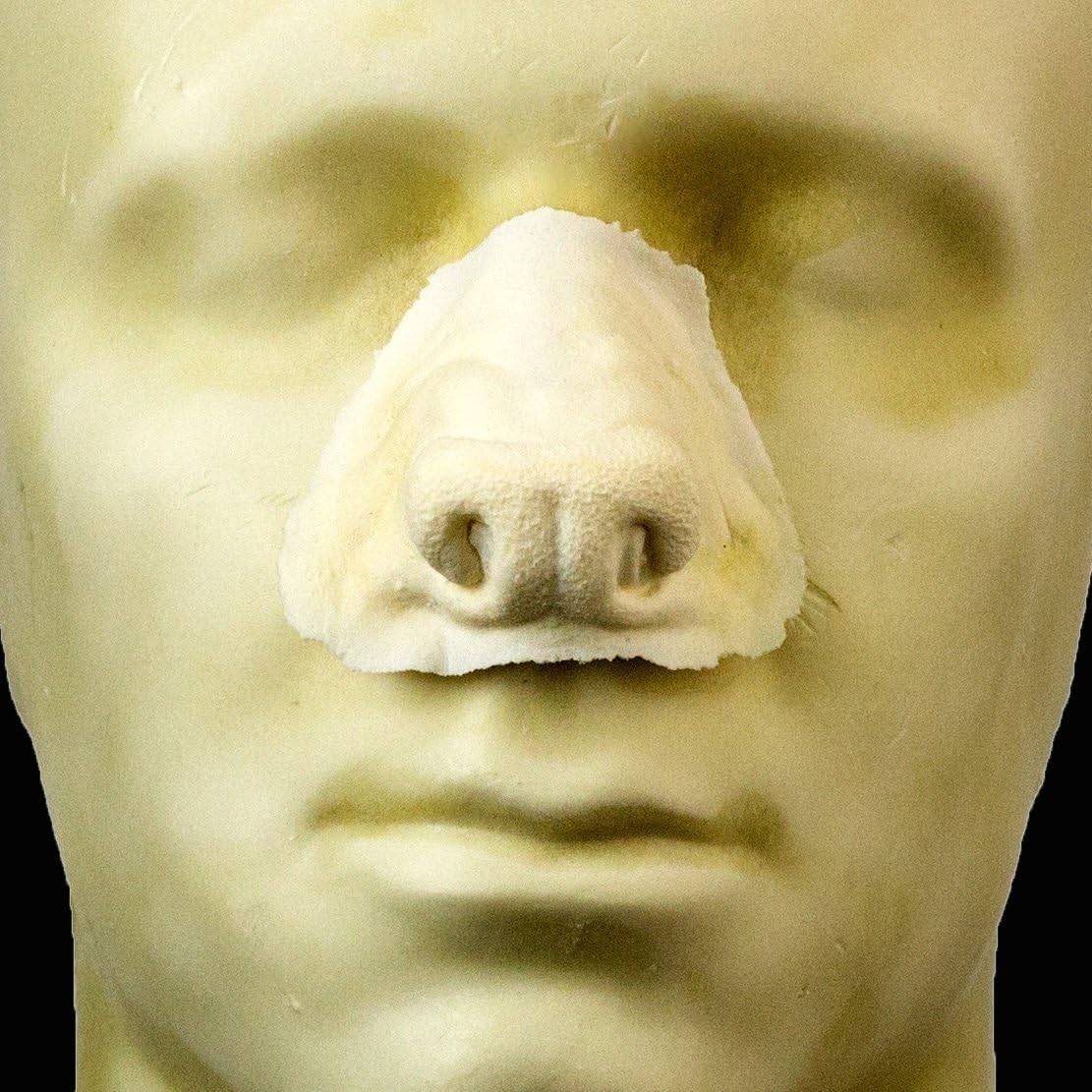 Rubber Wear Foam Latex Prosthetic - Large Werewolf Nose FRW-013 - Makeup Theater FX
