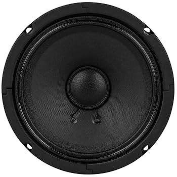 DAYTON AUDIO PK165-8 6インチ ミッドレンジ 2個セット DAYTON AUDIO PK165-8 6インチ ミッドレンジ 2個セット DAYTON