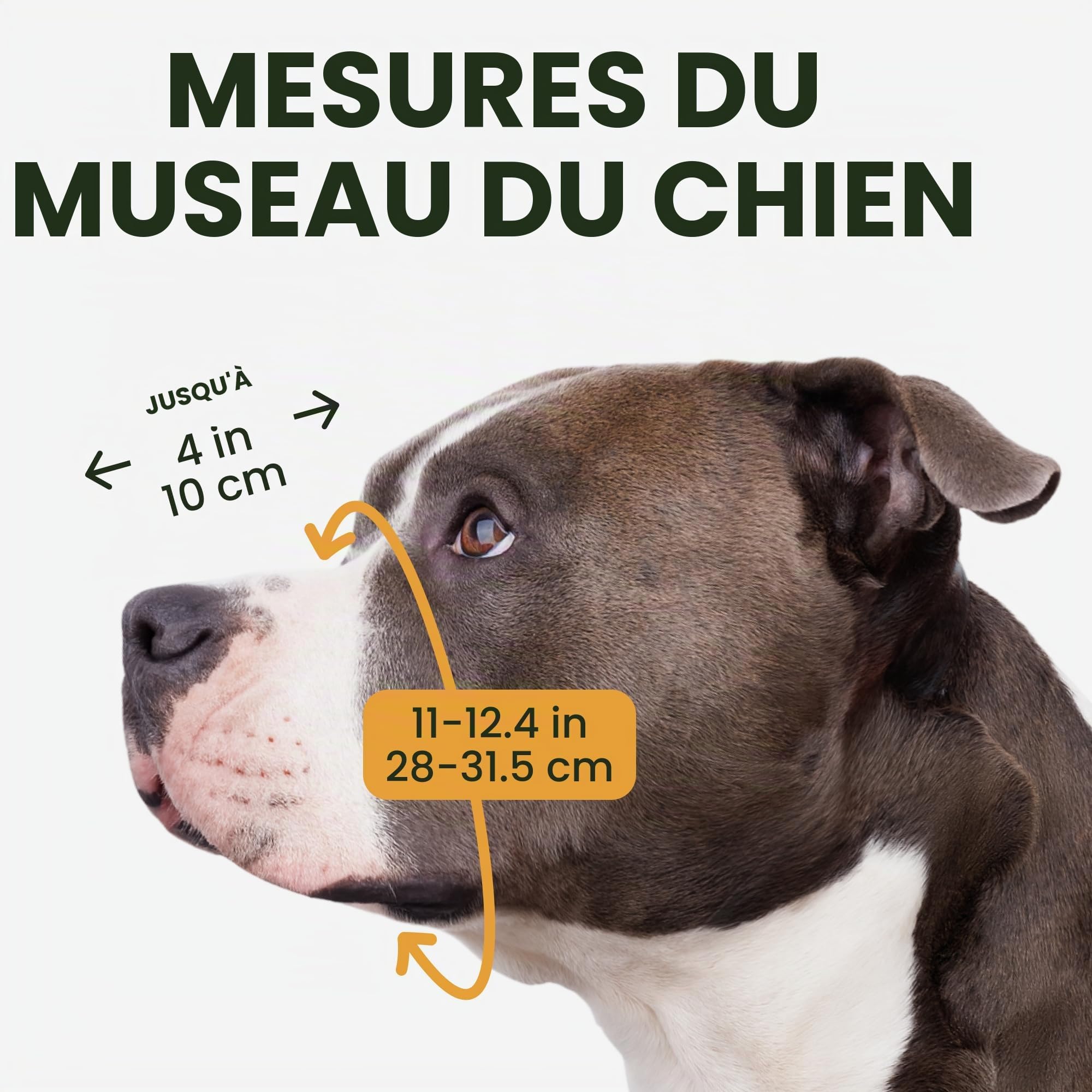 BronzeDog Muselière pour Chien en métal Amstaff Panier en Fil de Fer Sangles réglables en Cuir pour Grands Chiens
