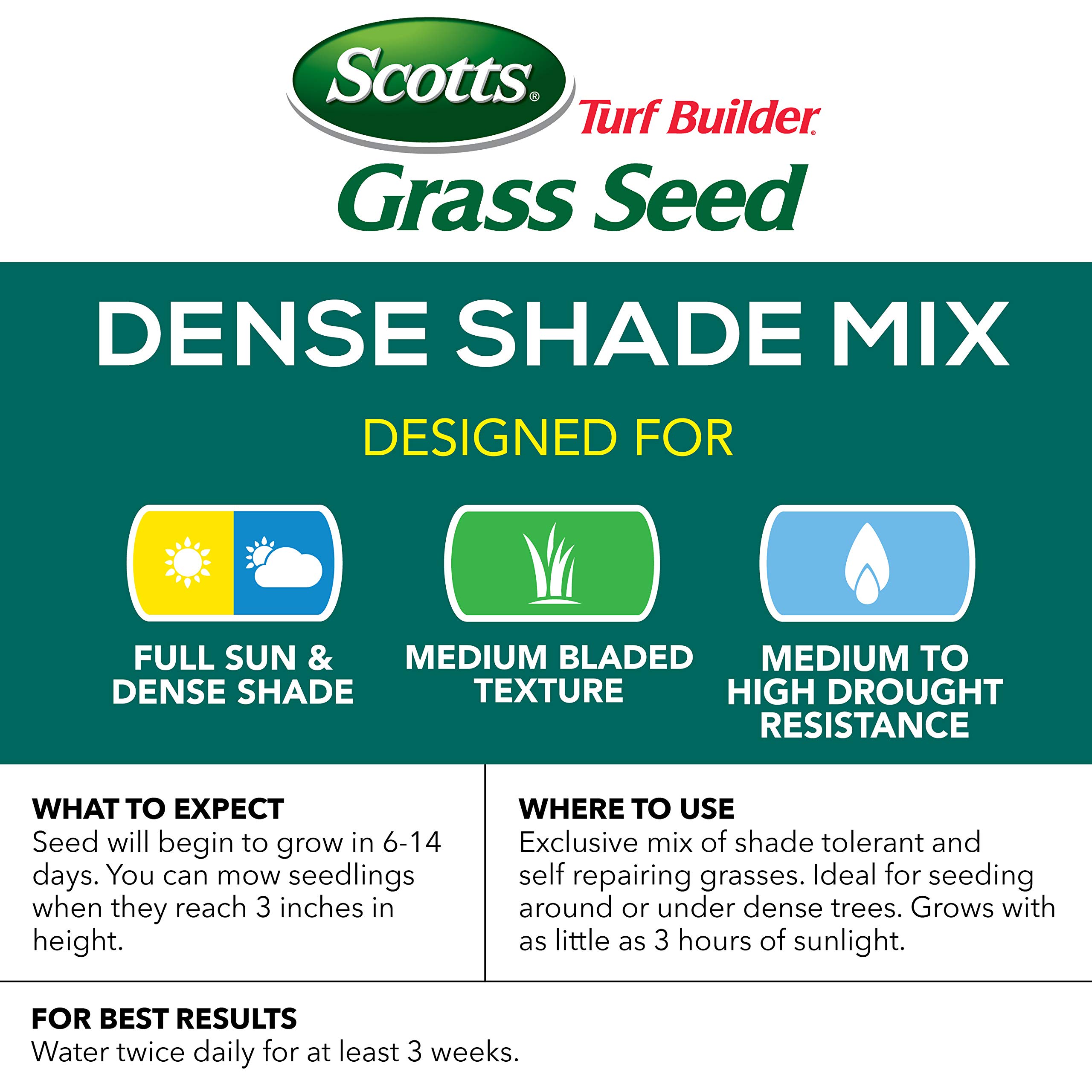 Scotts Turf Builder Grass Seed Dense Shade Mix 7 Lb. Grows in as