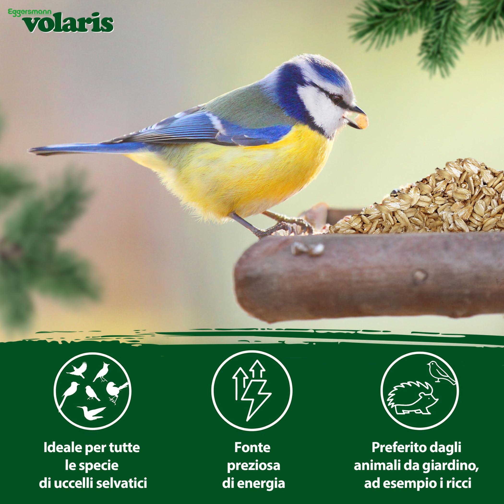Eggersmann volaris Farina d'avena 8 x 2 kg – Mangime per uccelli selvatici – Farina d'avena ideale anche come mangime per animali per ricci, conigli e roditori – Mangime per uccelli selvatici adatto