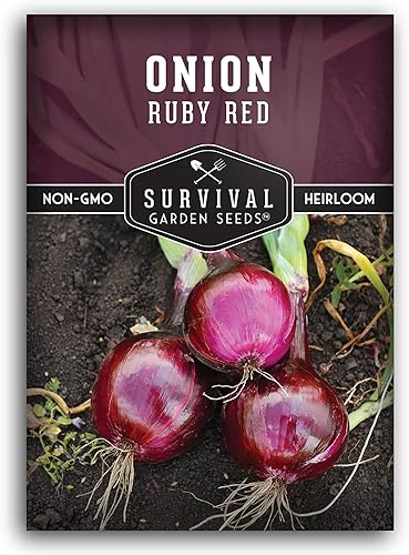 Semillas de cebolla roja rubí para plantar, 1 paquete con instrucciones para plantar y cultivar cebollas en rodajas de un día largo en el huerto de