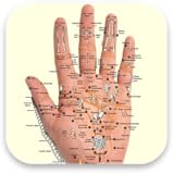 Acupressure Guide
