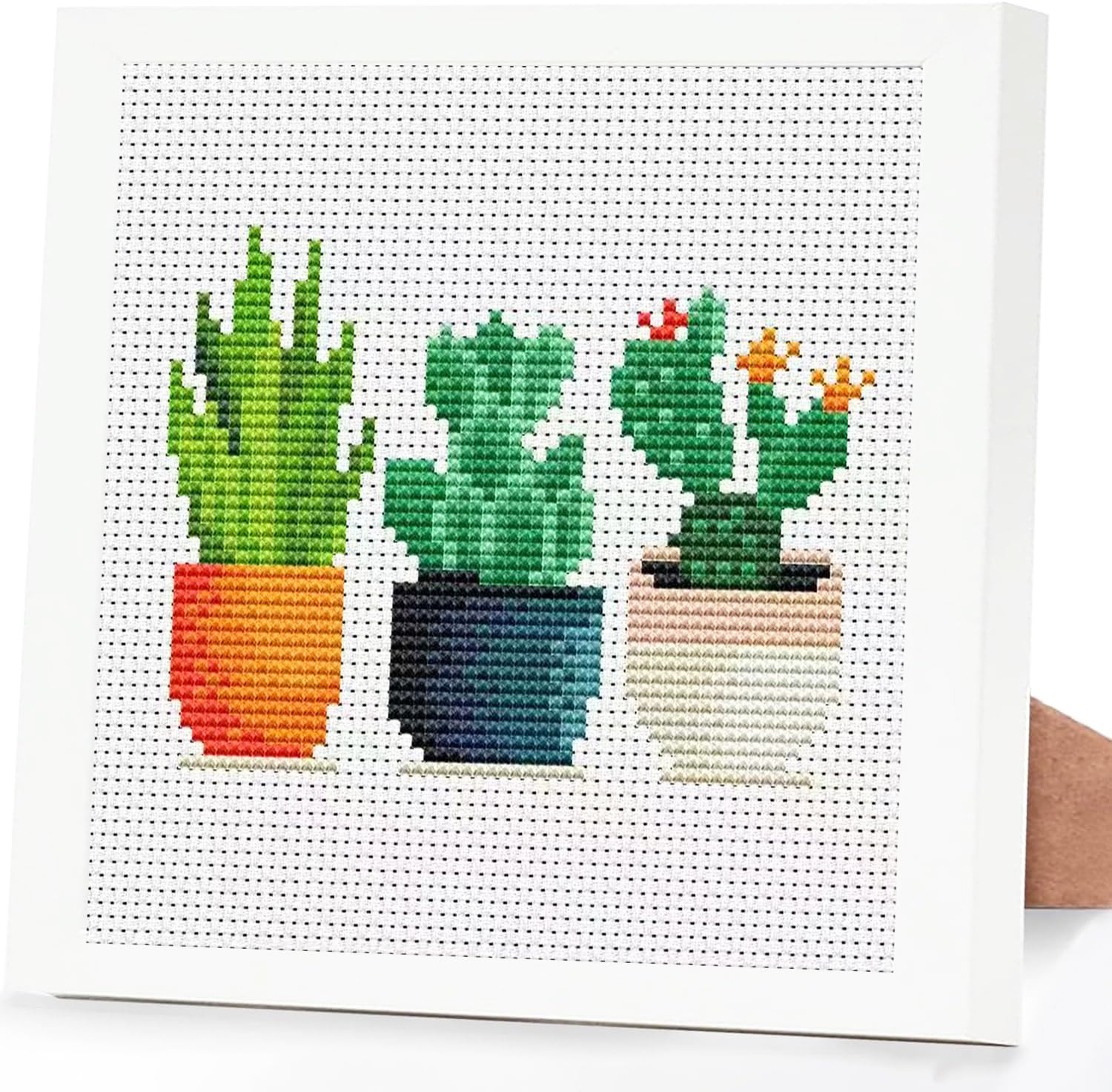 Tiwabb Succulent Stamped Cross Stitch Kits for Adults Beginners with Frame