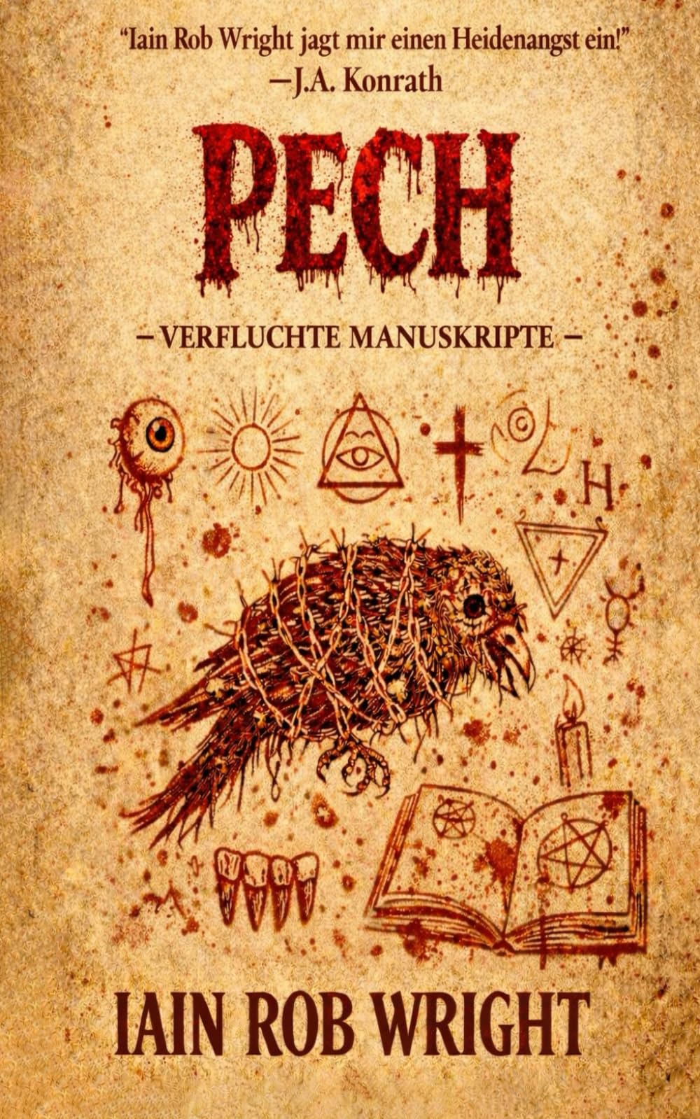 Pech: 6 (Verfluchte Manuskripte)