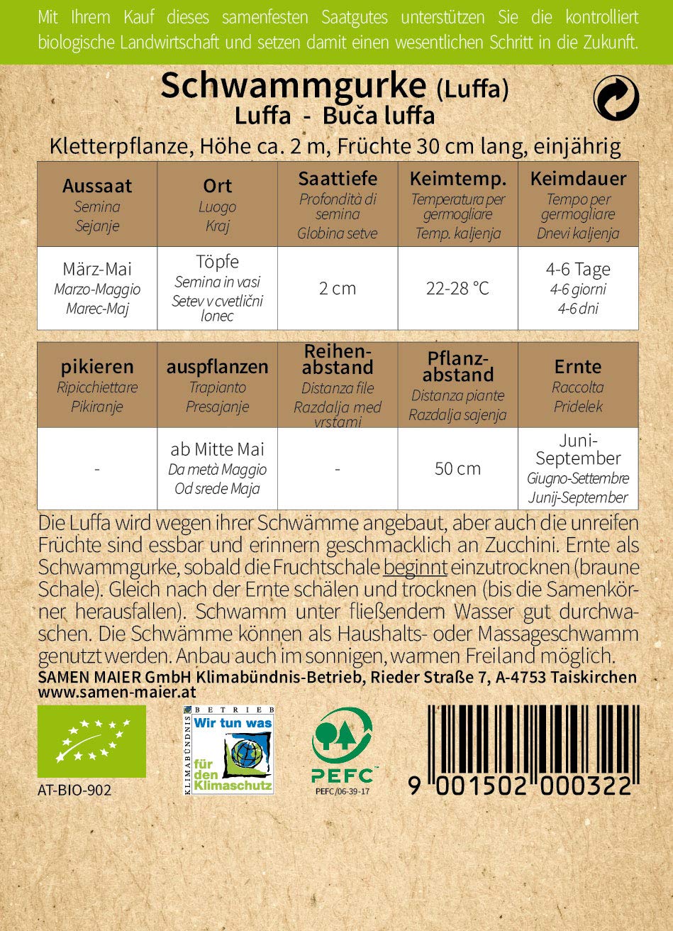 BIO Schwammgurke Luffa Samen - Hochwertiges BIO Saatgut für ökologischen Anbau - Erntezeit Juni bis September - Reicht für ca. 5 Pflanzen - Samen Maier