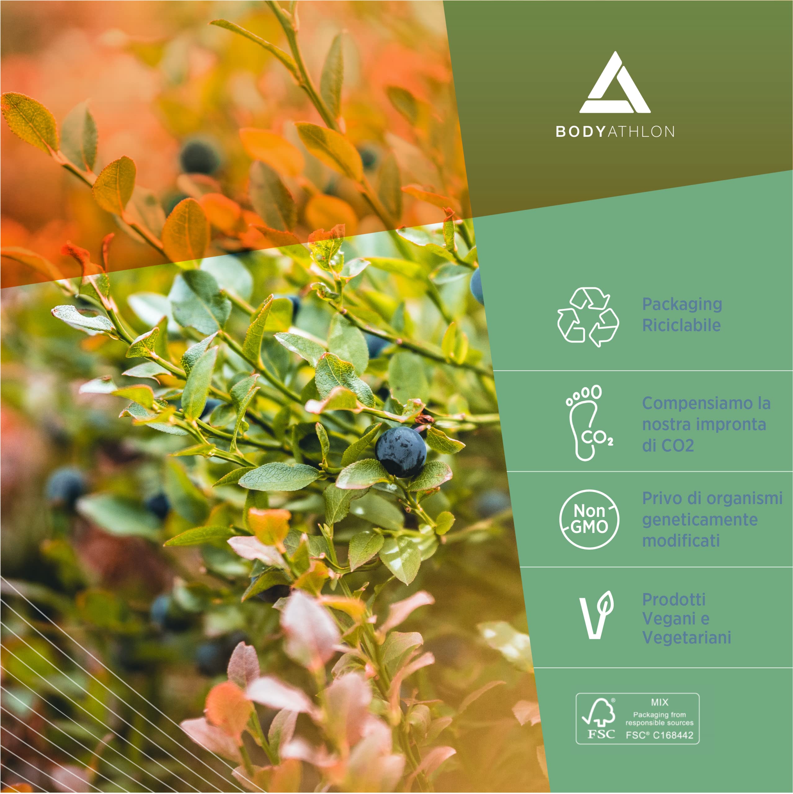 Agnocasto 20mg 180 Capsule- Estratto 10:1- Vitex Agnus Castus- Complex con 7 ingredienti- Integratore Ciclo Mestruale, Squilibrio Ormonale, Sindrome Premestrual- Female balance- Bodyathlon
